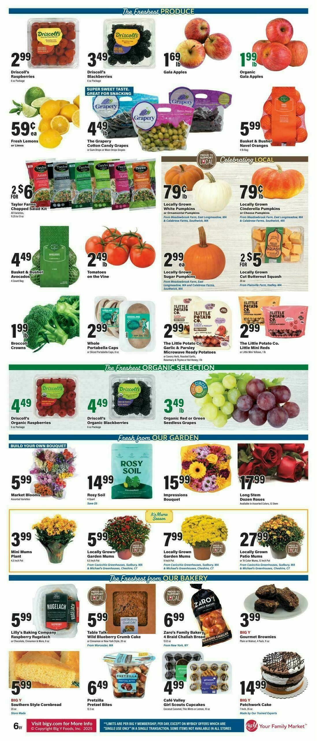 Big Y Weekly Ad from September 25