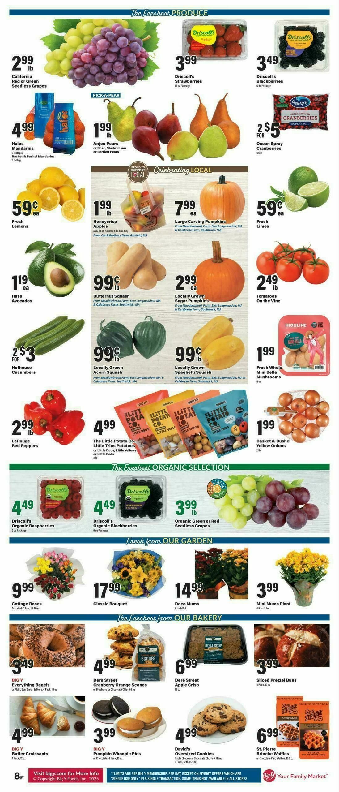 Big Y Weekly Ad from October 16