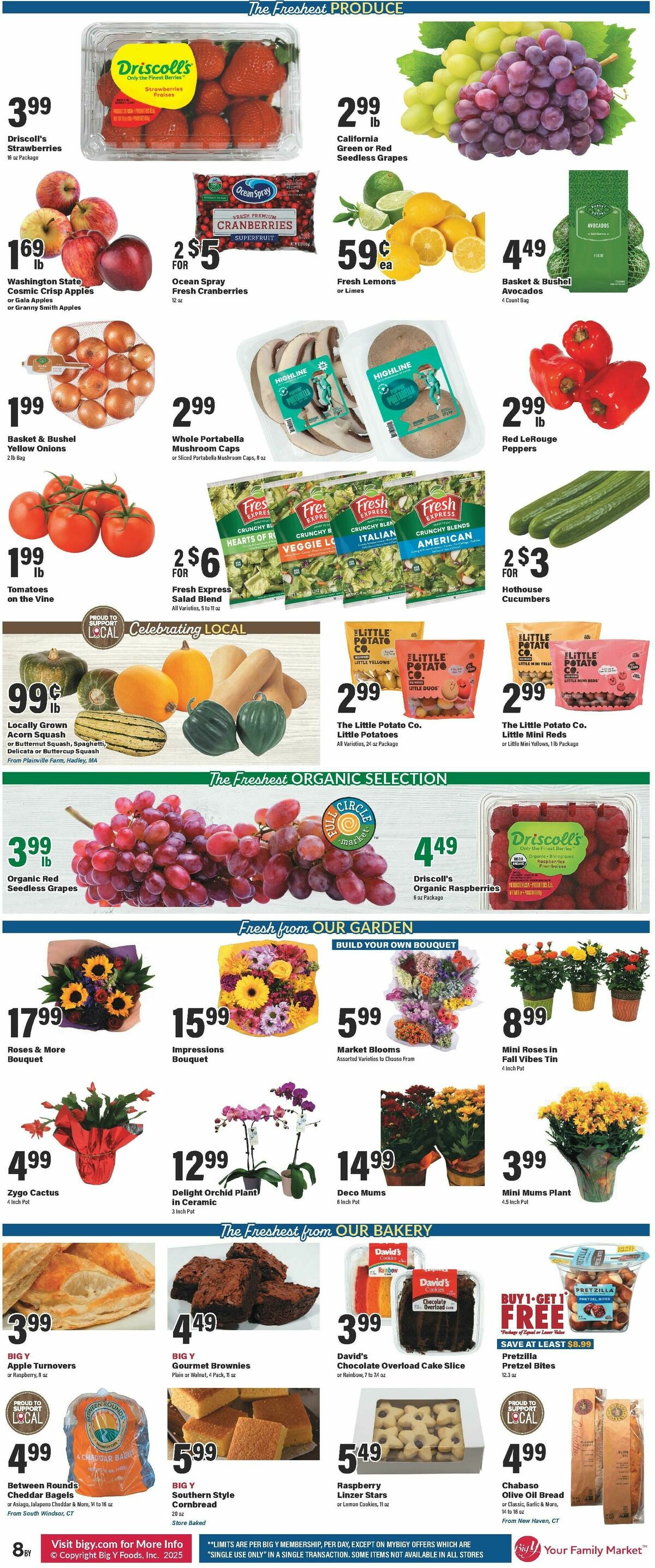 Big Y Weekly Ad from October 30