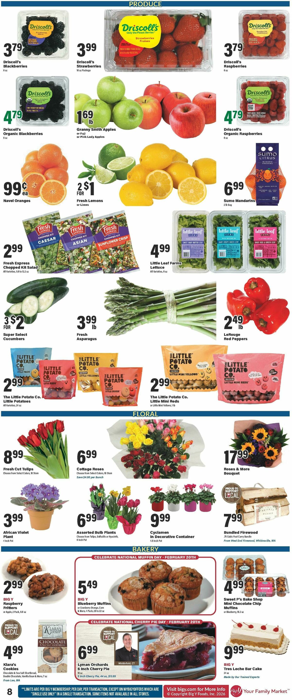 Big Y Weekly Ad from February 19