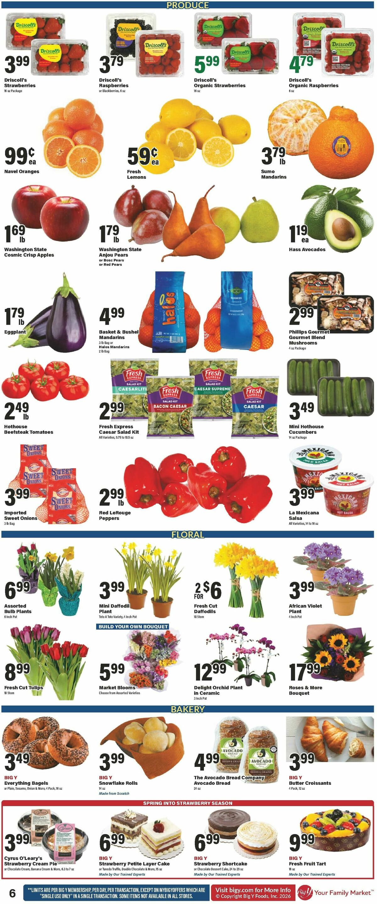 Big Y Weekly Ad from March 19
