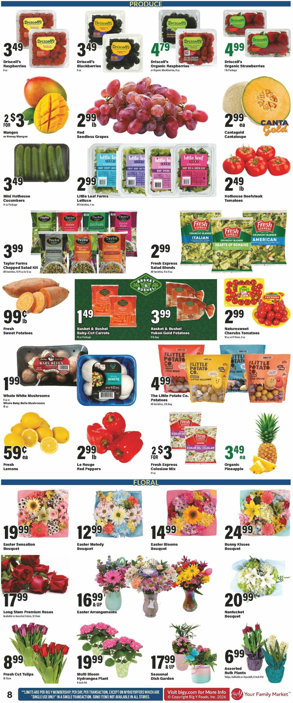 Big Y Weekly Ad from April 2