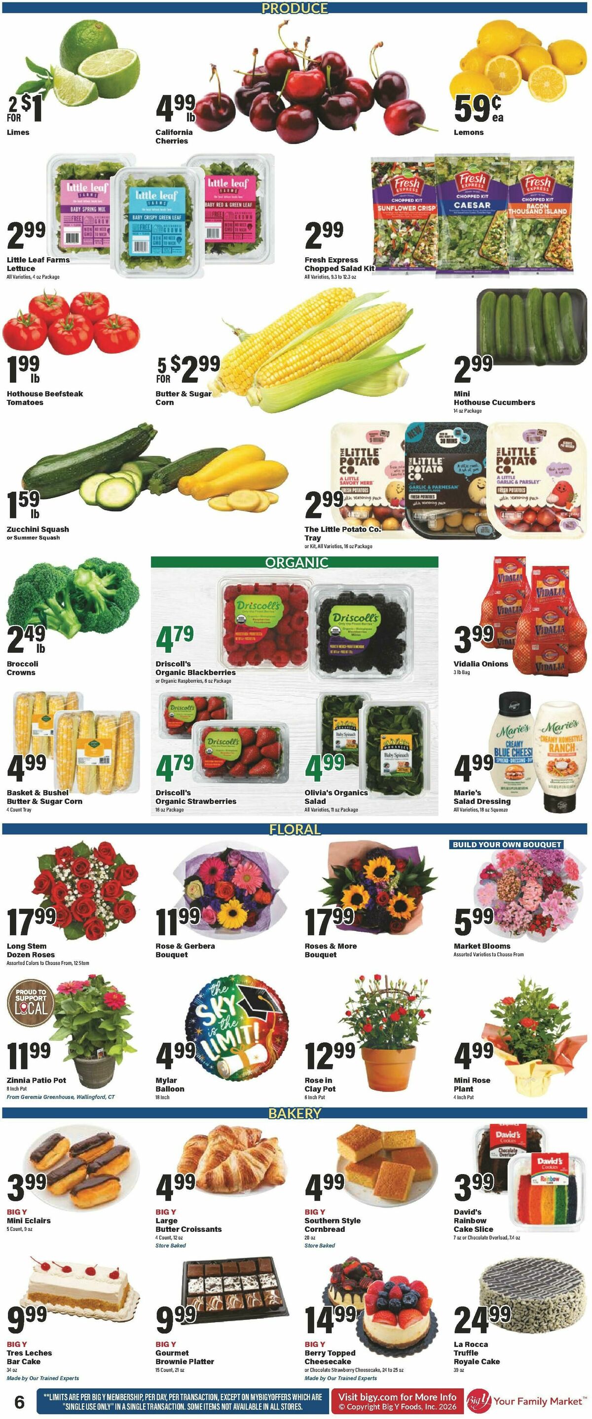 Big Y Weekly Ad from June 18