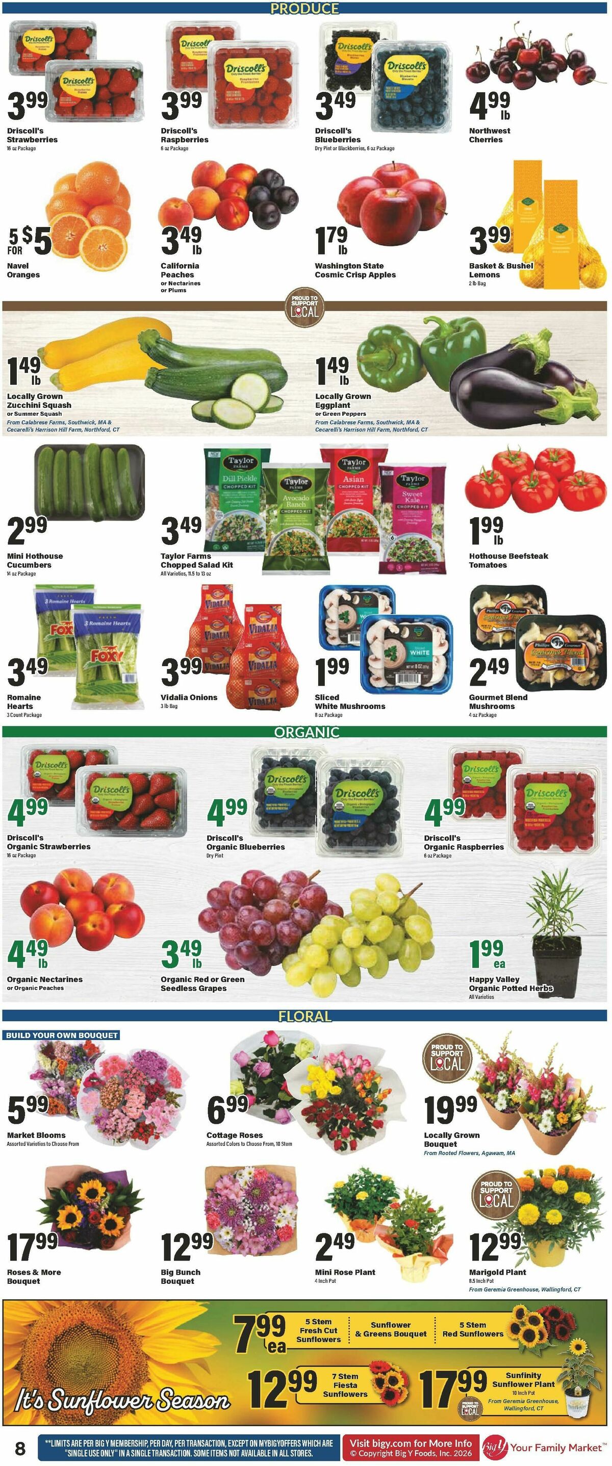 Big Y Weekly Ad from July 23