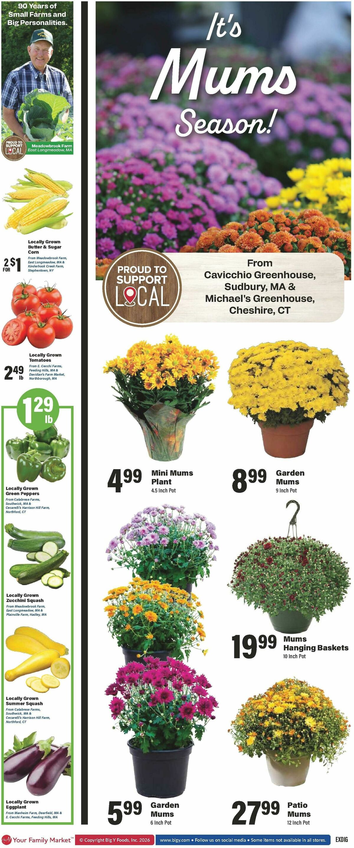 Big Y Weekly Ad from August 20