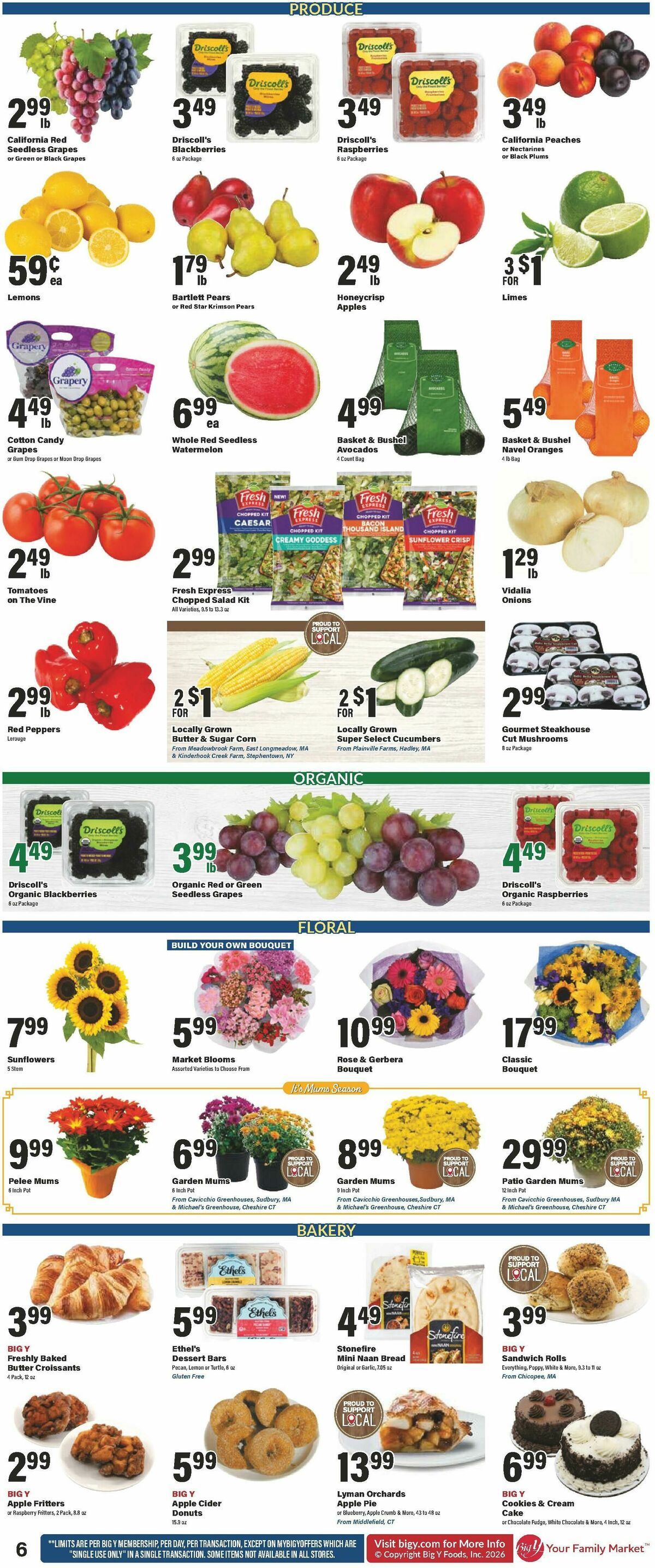 Big Y Weekly Ad from August 27