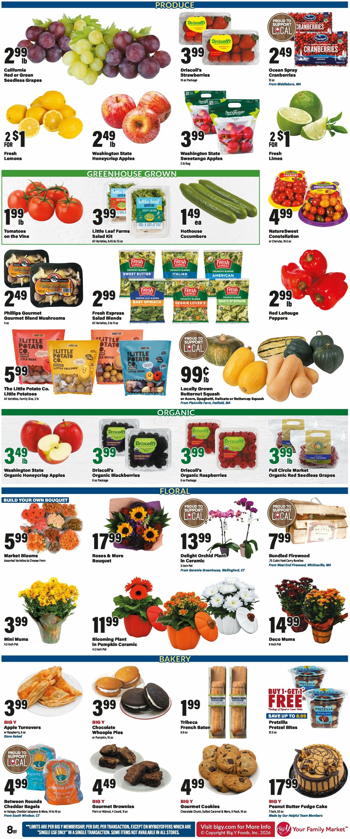 Big Y Weekly Ad from October 29