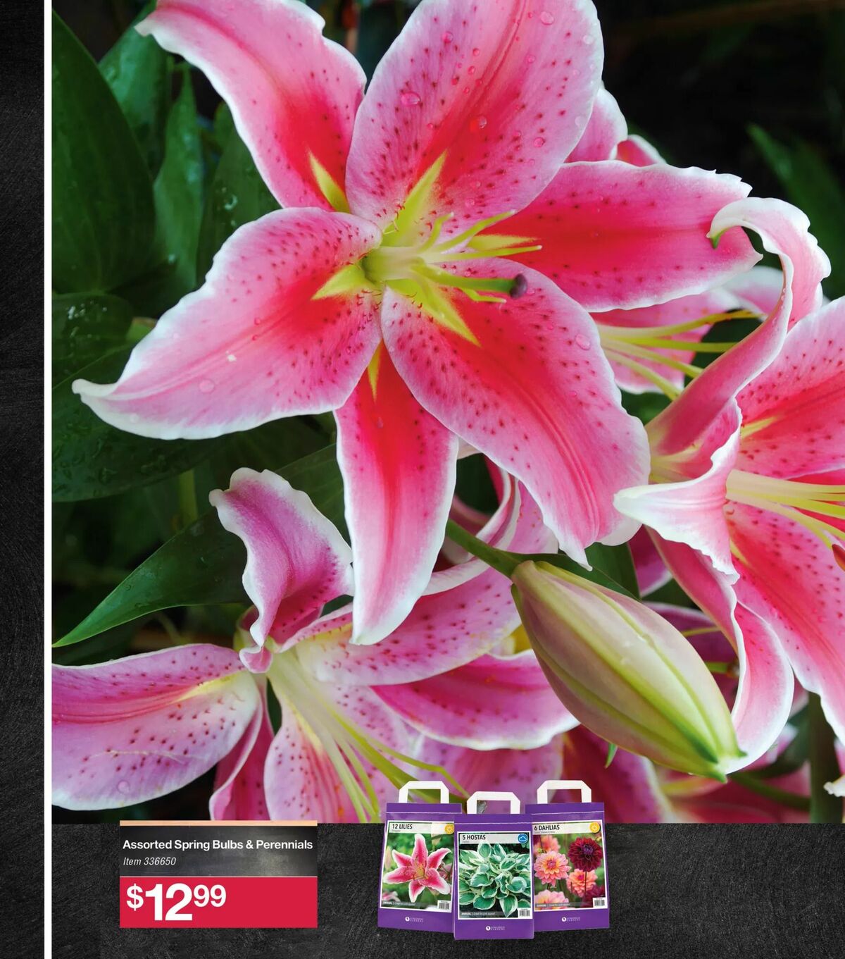 BJ's Wholesale Club Weekly Ad from March 10