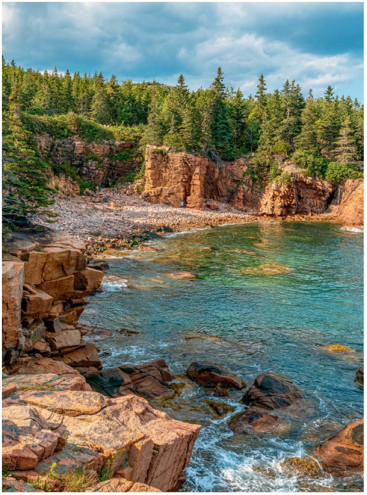 Costco Connection June Weekly Ad from June 1