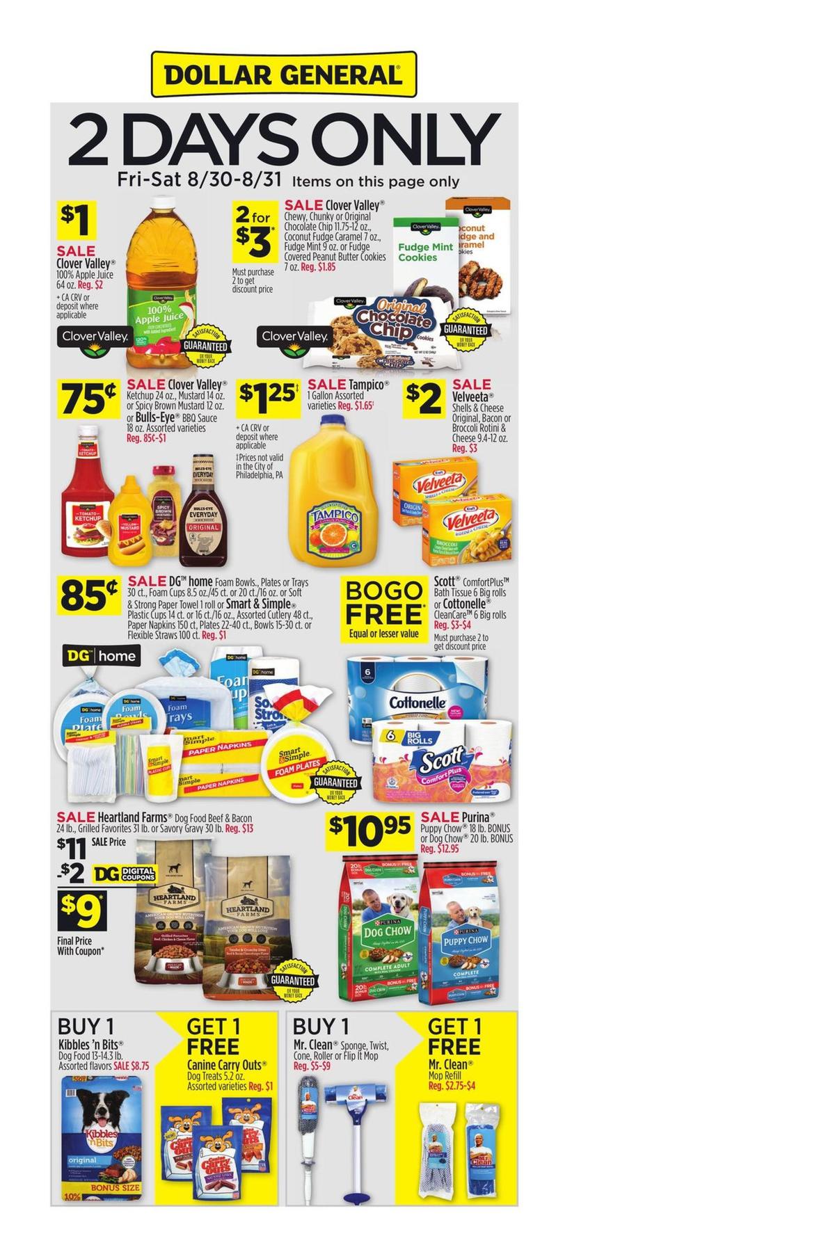 Dollar General Weekly Ad from August 25