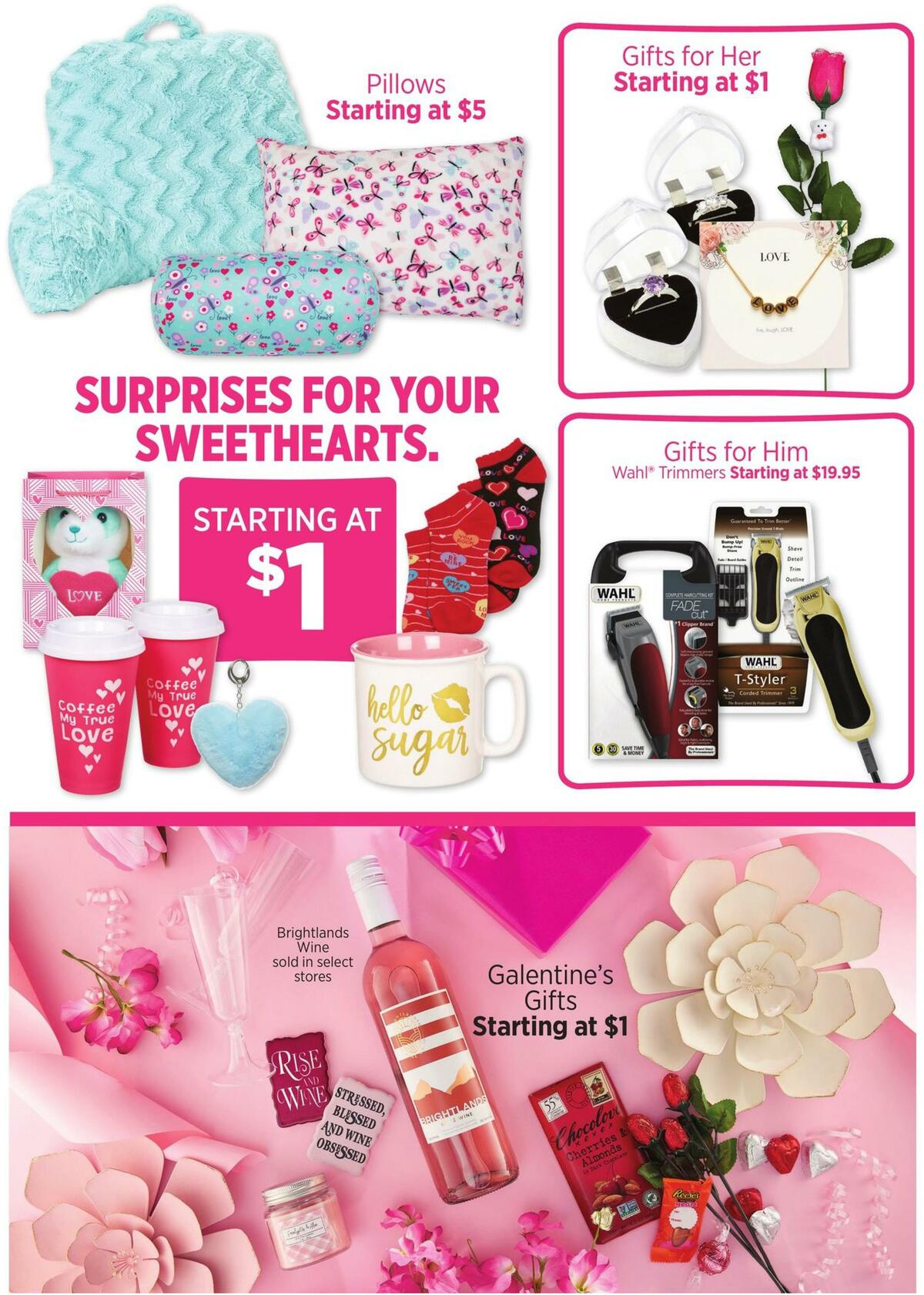 Dollar General Valentine's Day Book Weekly Ad from January 14