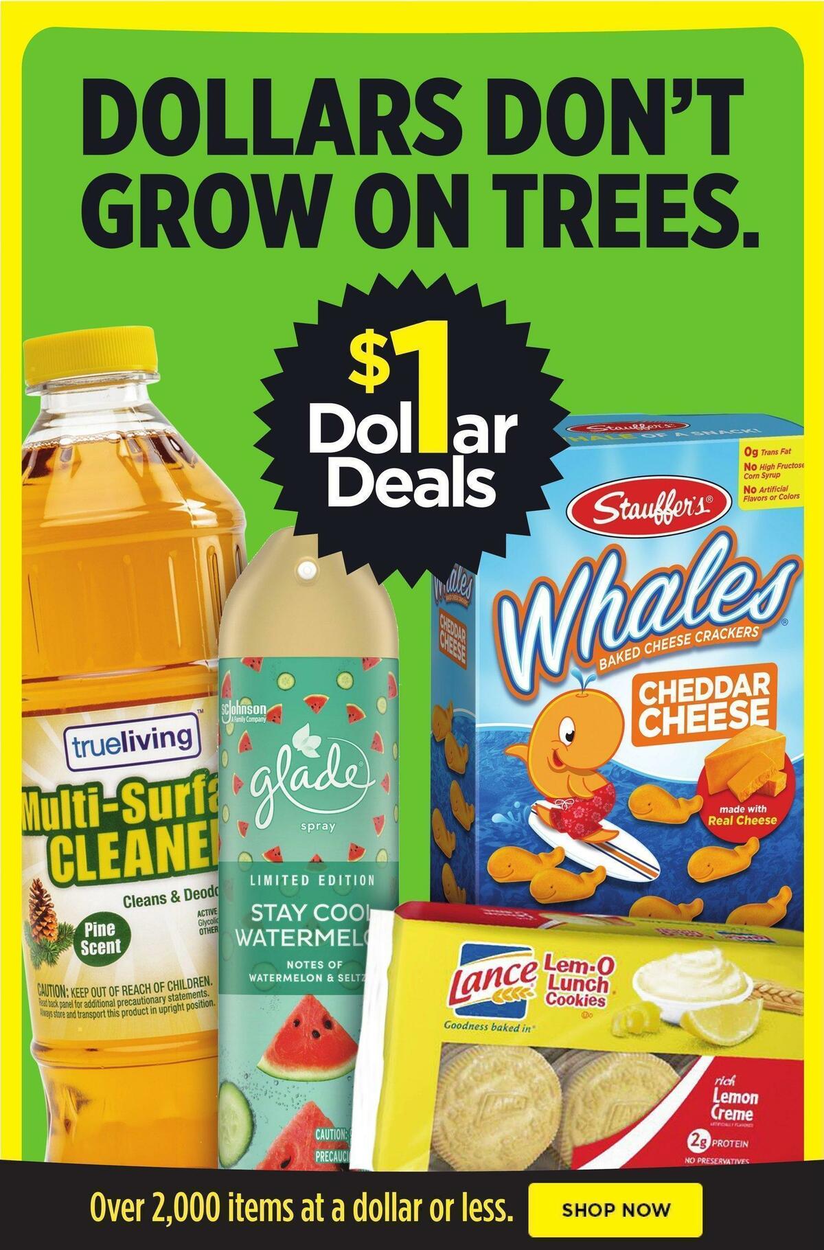 Dollar General Weekly Ad from March 27