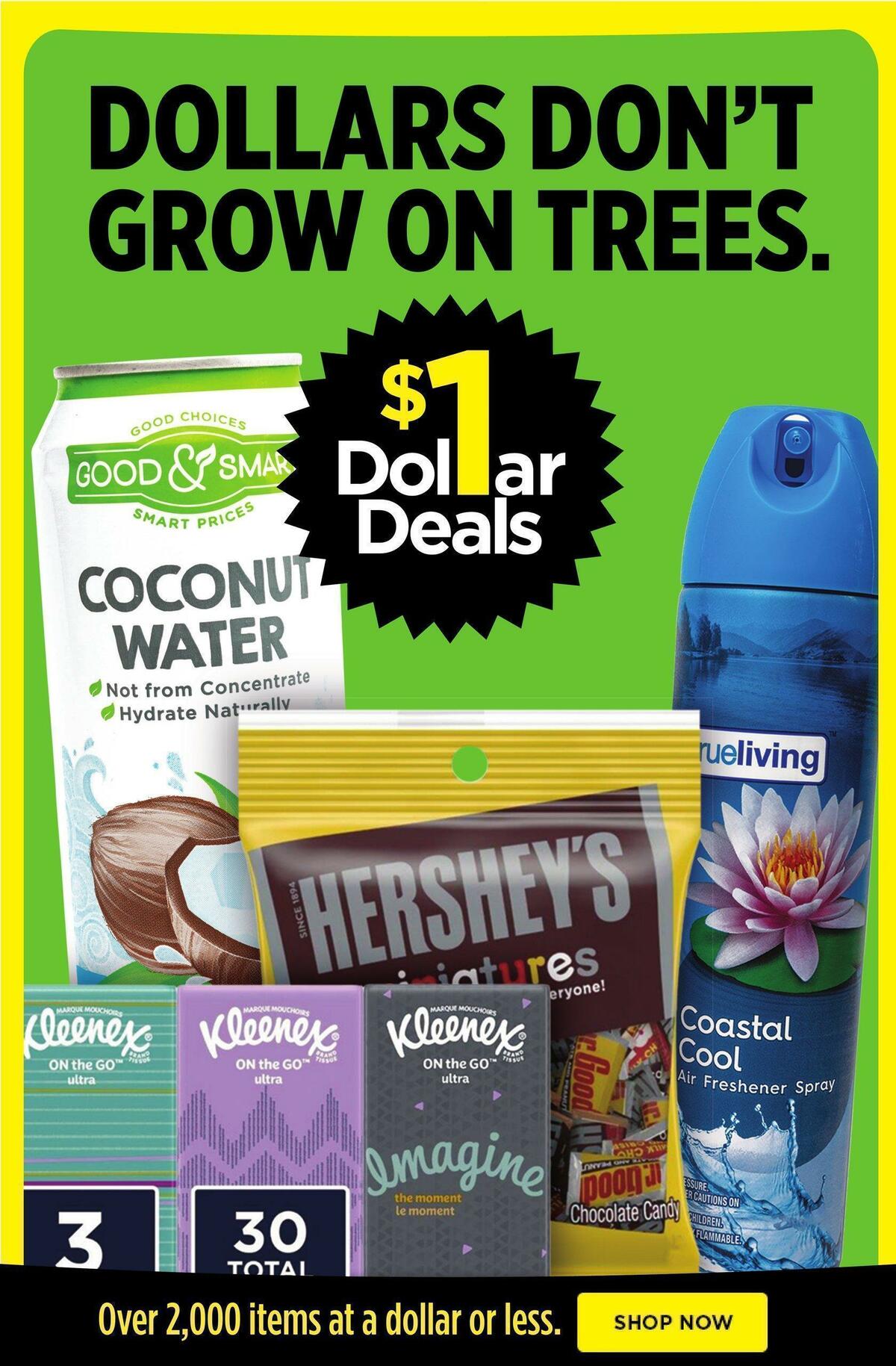 Dollar General Weekly Ad from June 5