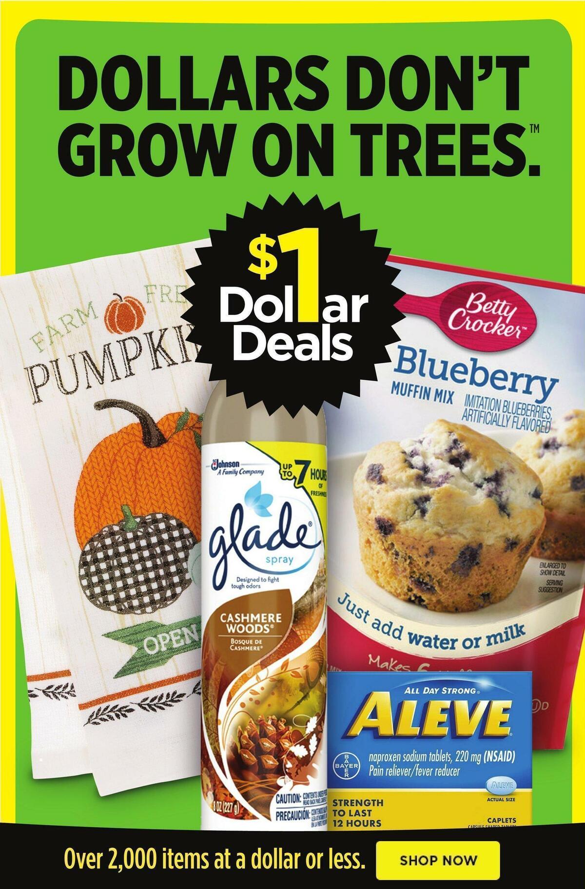 Dollar General Weekly Ad from September 18