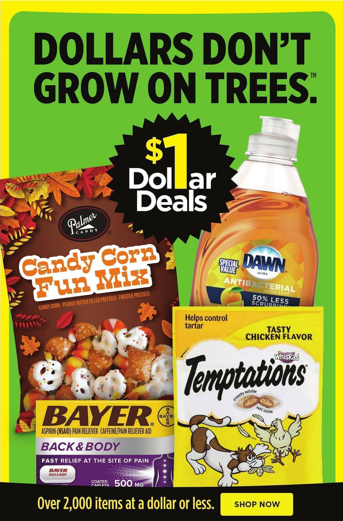 Dollar General Weekly Ad from October 2