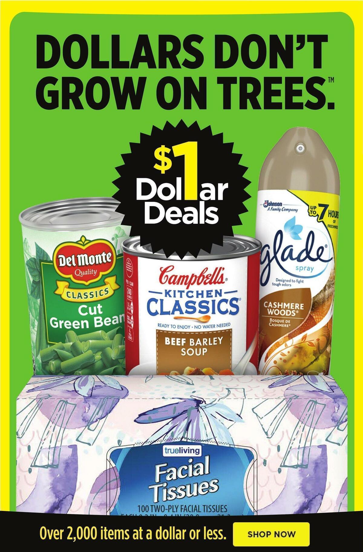 Dollar General Weekly Ad from November 13