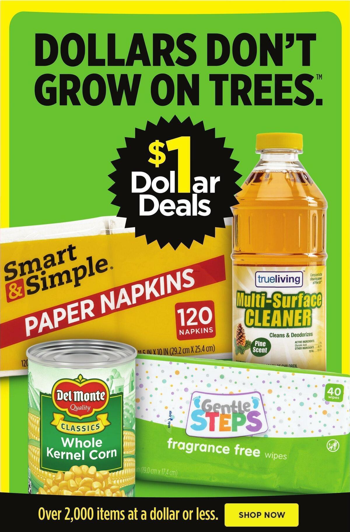 Dollar General Weekly Ad from November 20