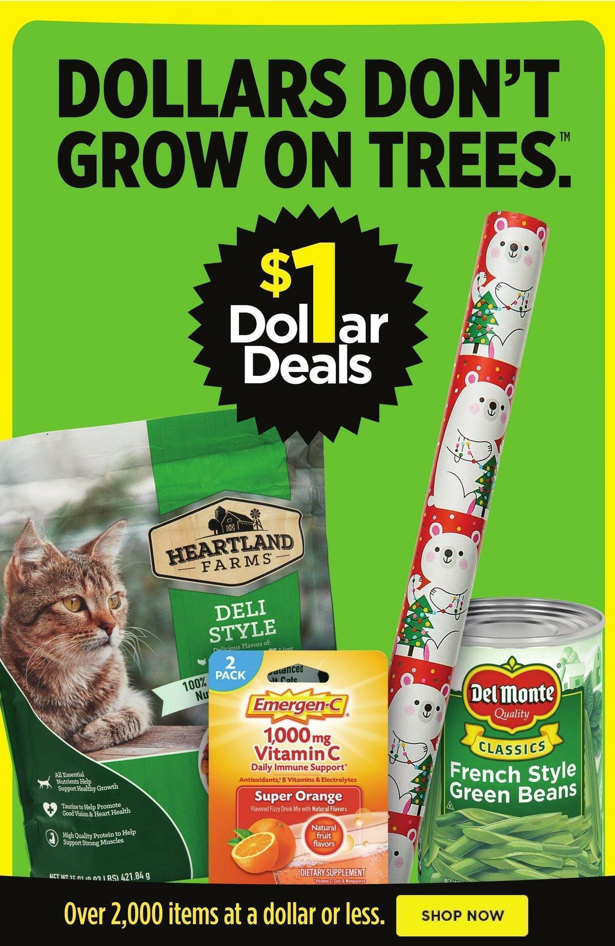 Dollar General Weekly Ad from December 4