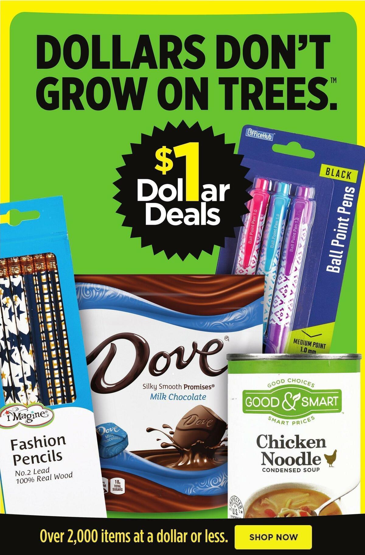 Dollar General Weekly Ad from January 1