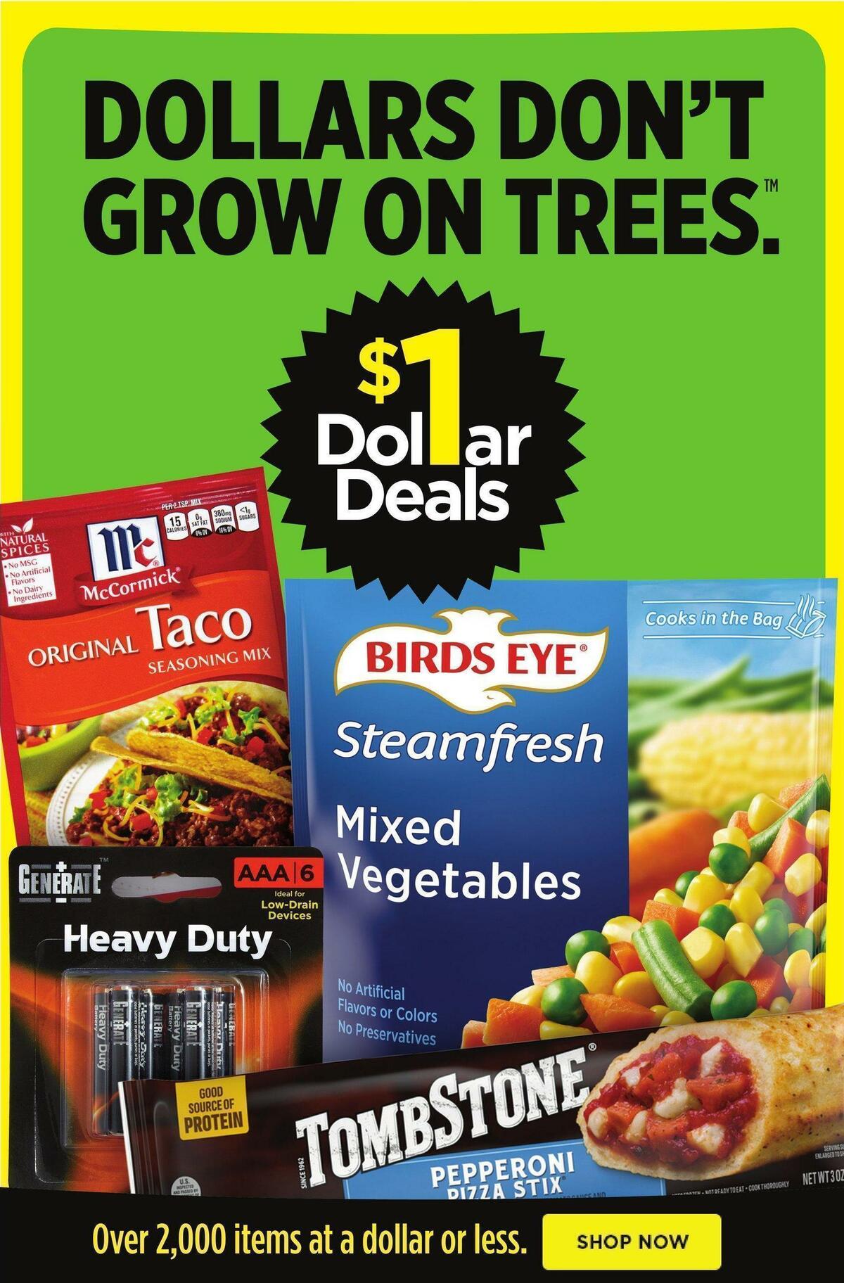 Dollar General Weekly Ad from January 22