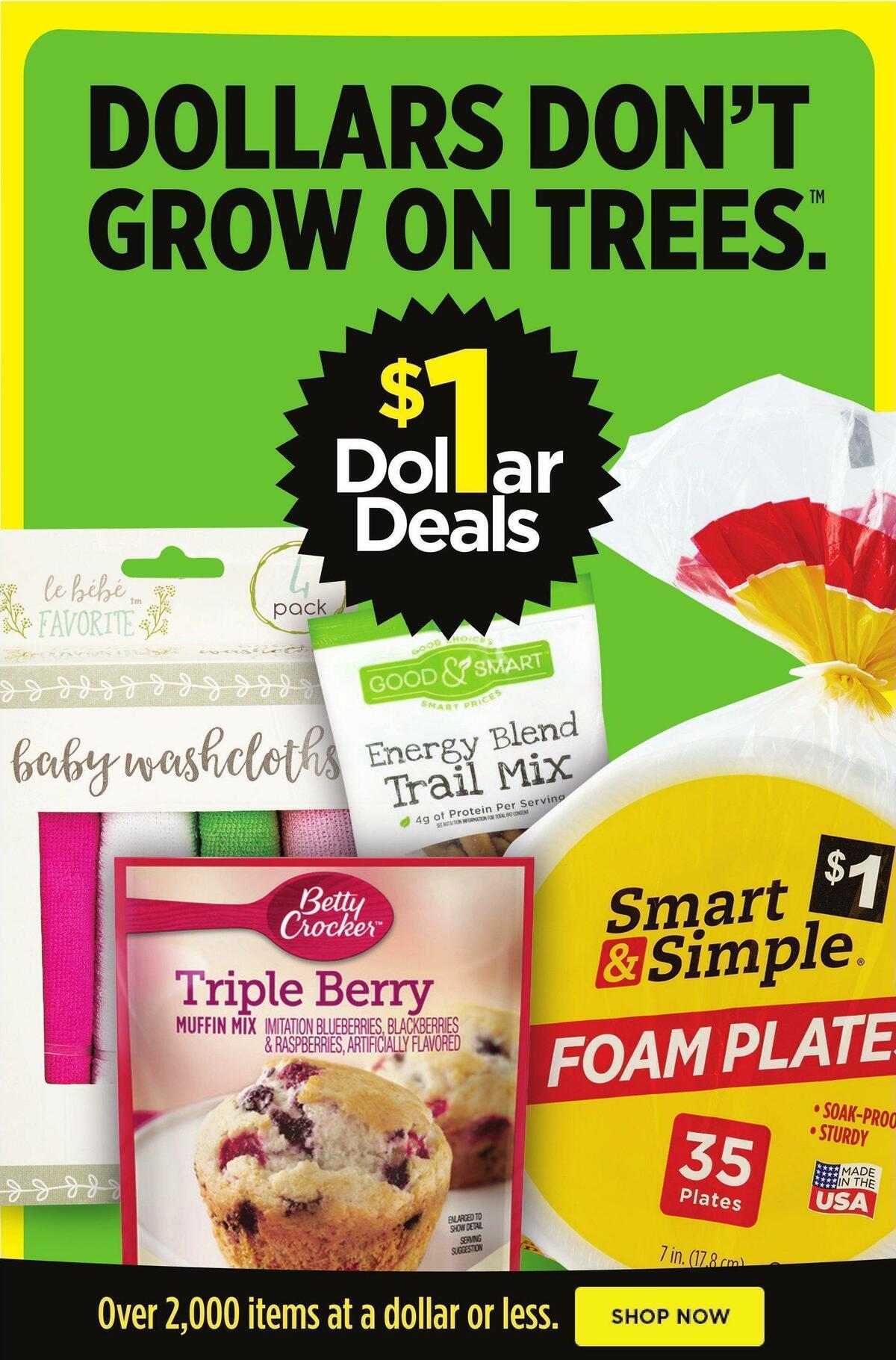 Dollar General Weekly Ad from January 29
