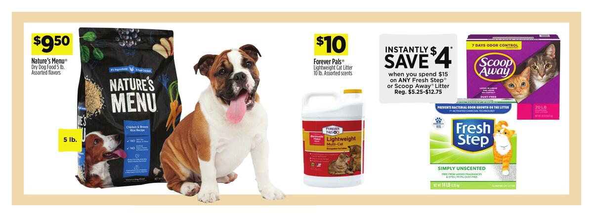 Dollar General Weekly Ad from May 14