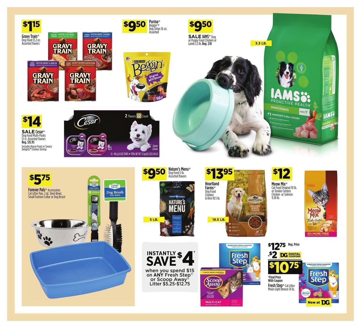 Dollar General Weekly Ad from May 28