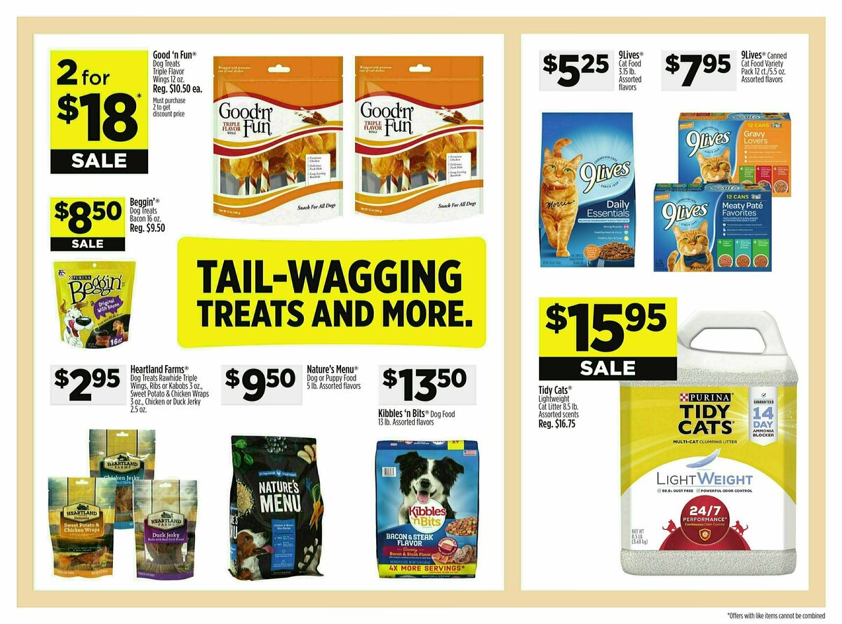 Dollar General Weekly Ad from July 9