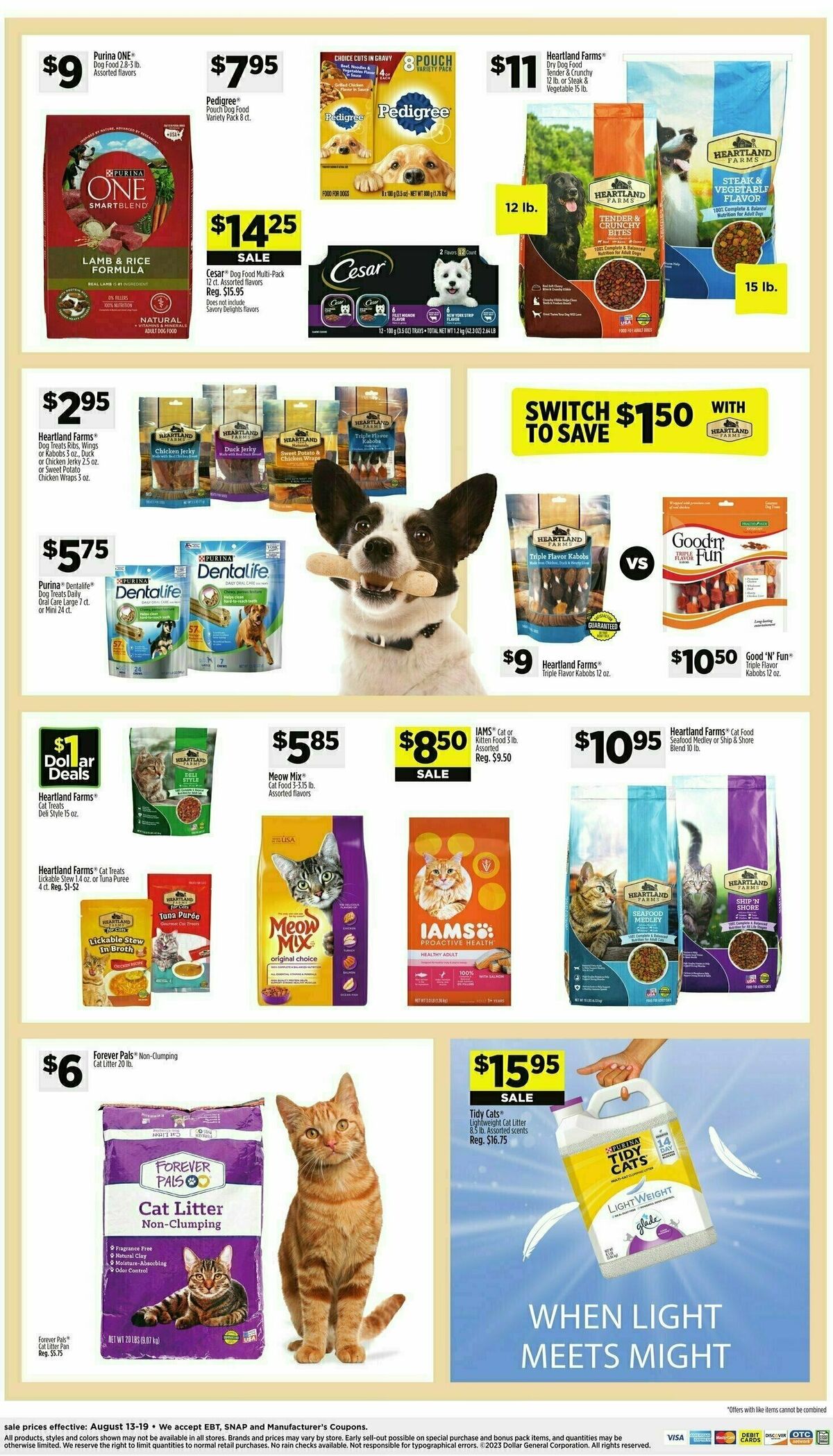 Dollar General Weekly Ad from August 13