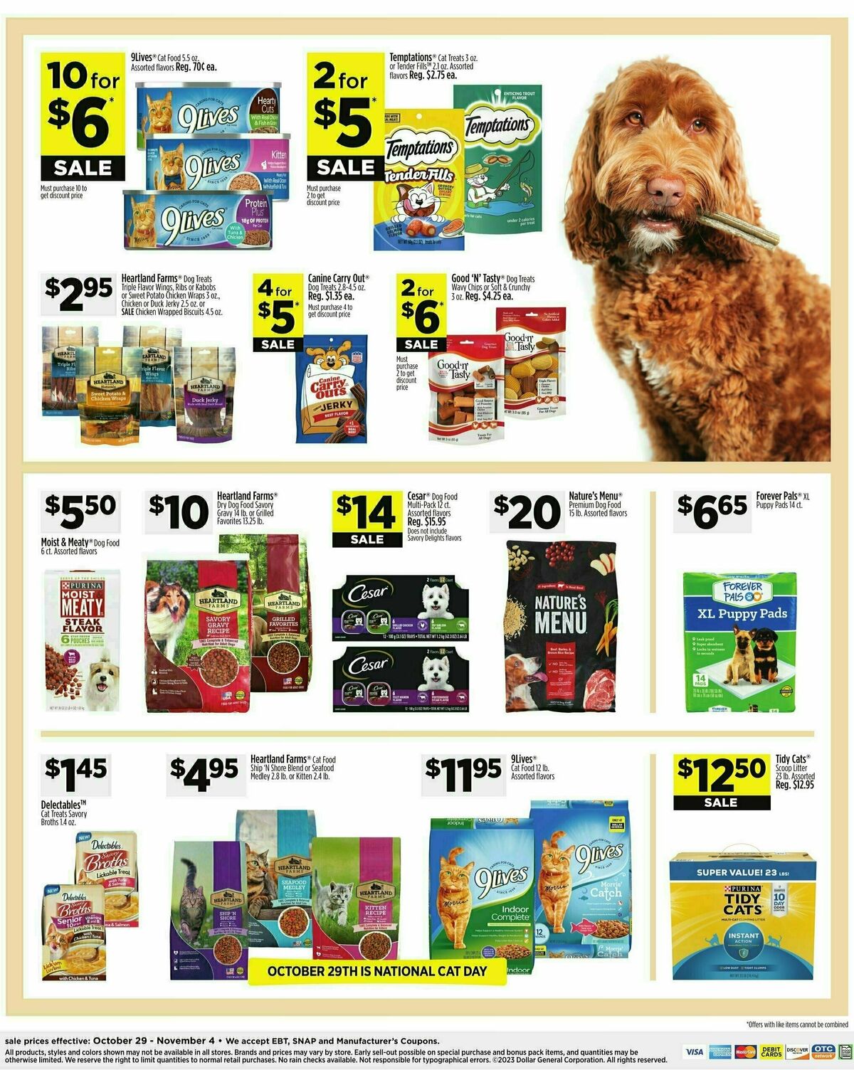 Dollar General Weekly Ad from October 29