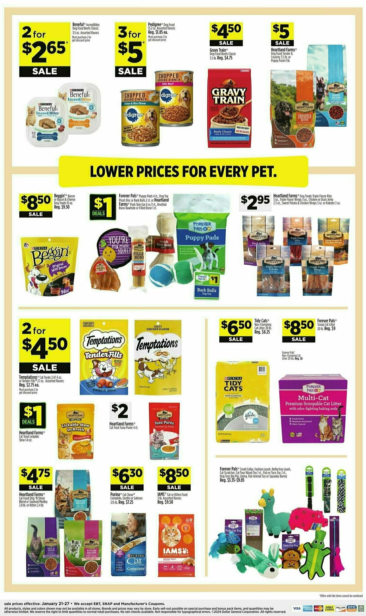 Dollar General Weekly Ad from January 21