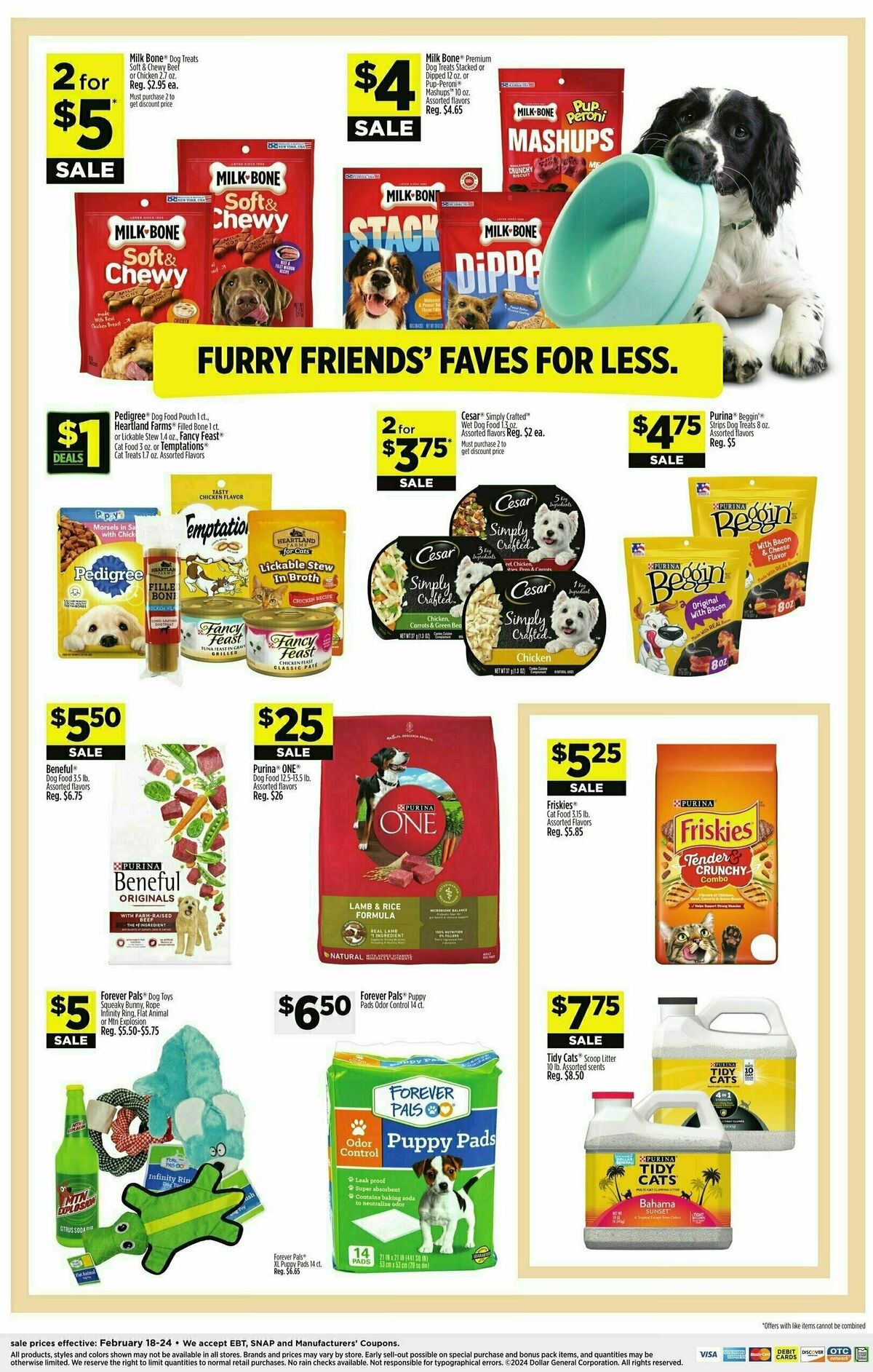 Dollar General Weekly Ad from February 18