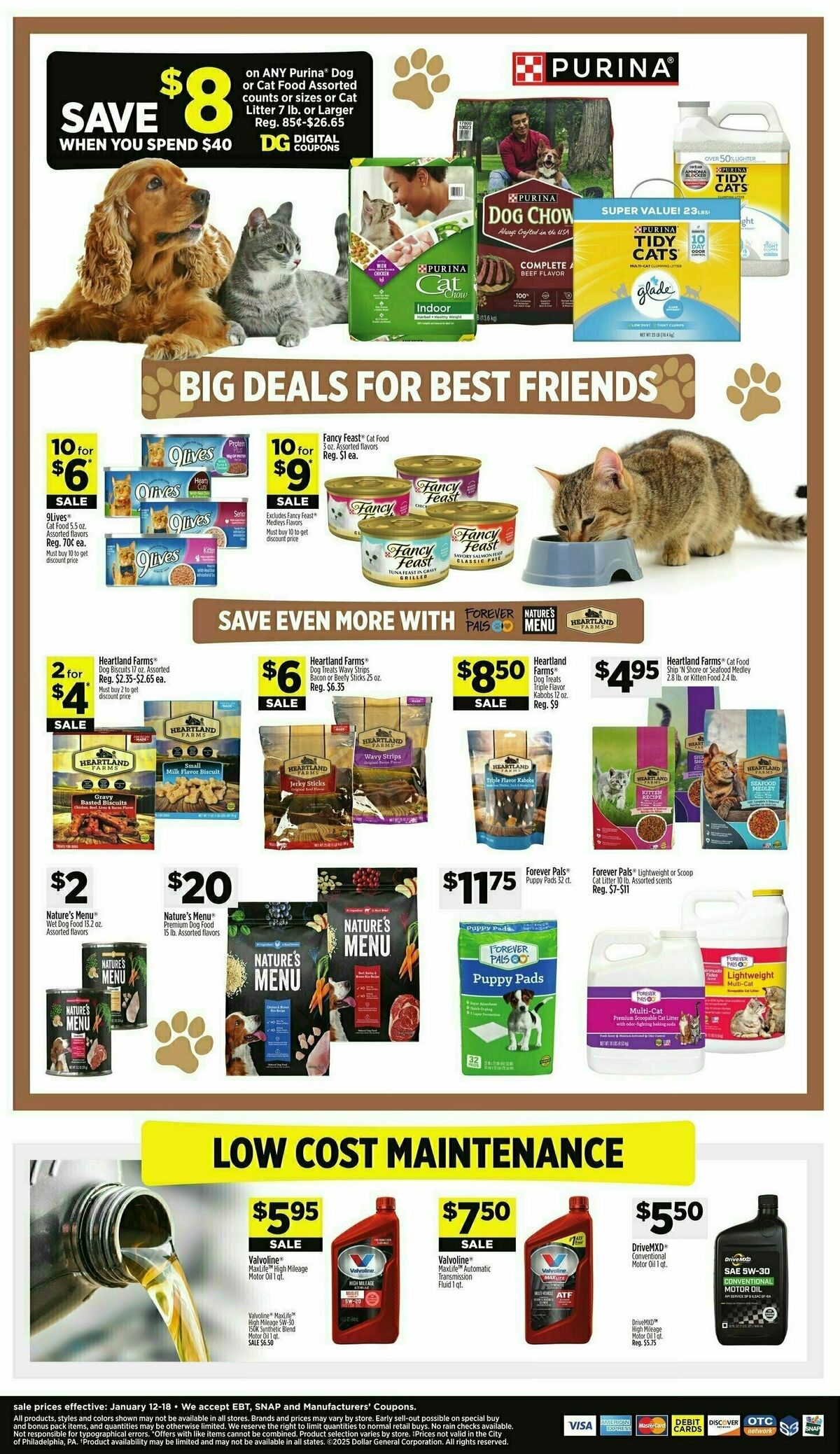 Dollar General Weekly Ad from January 12