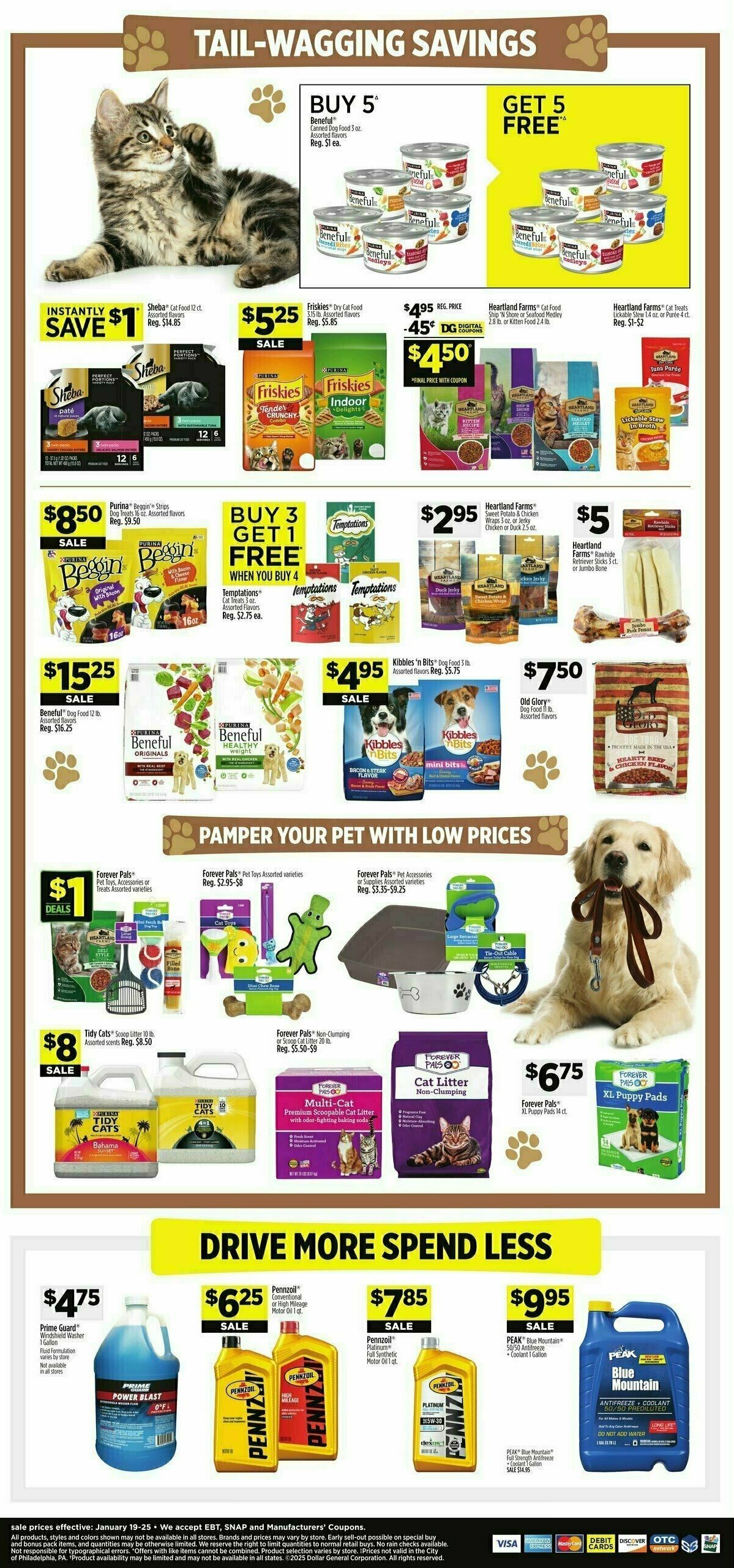 Dollar General Weekly Ad from January 19