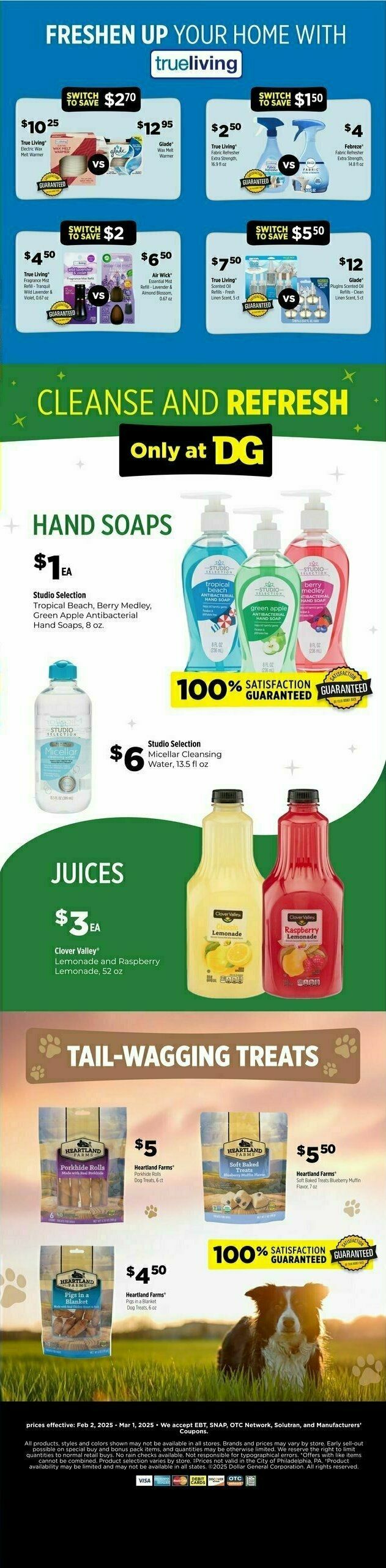 Dollar General DG Brands Monthly Flyer Weekly Ad from February 1