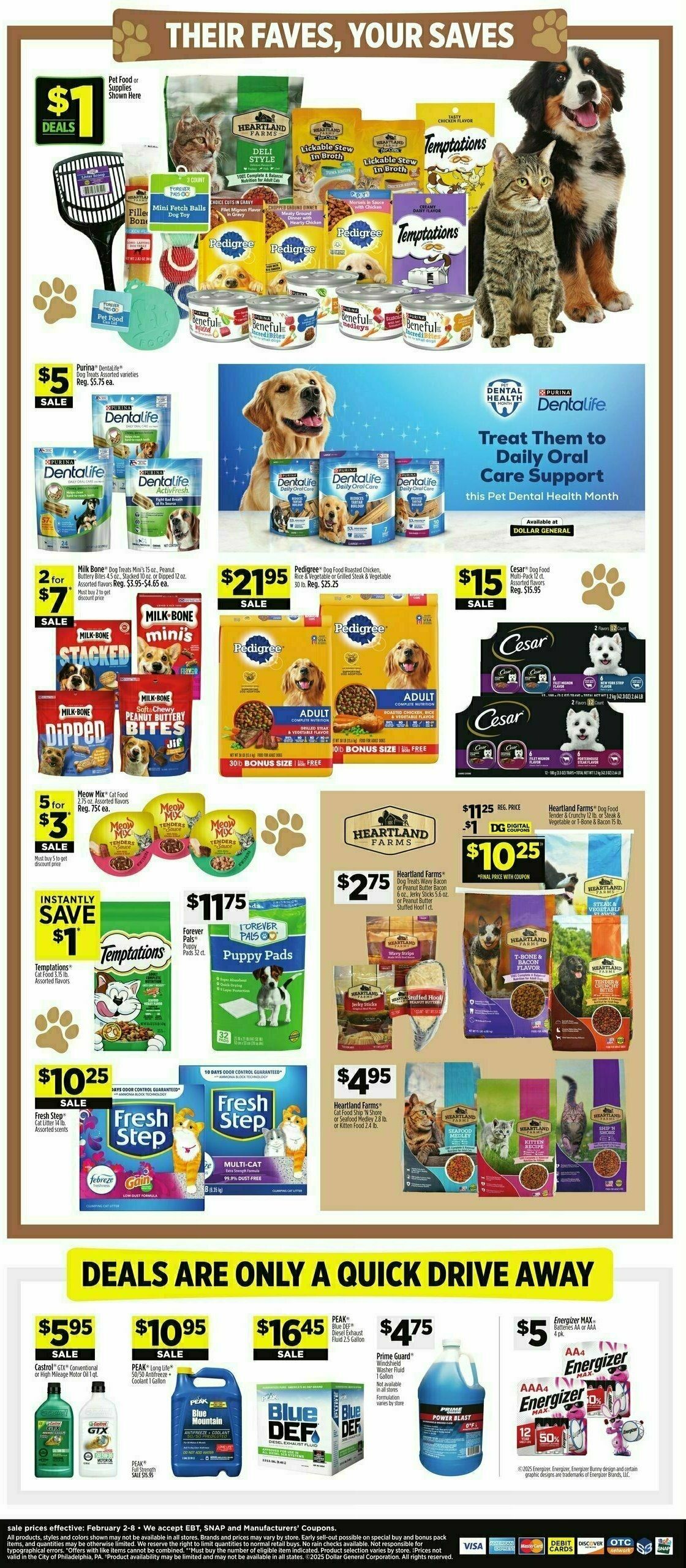 Dollar General Weekly Ad from February 2