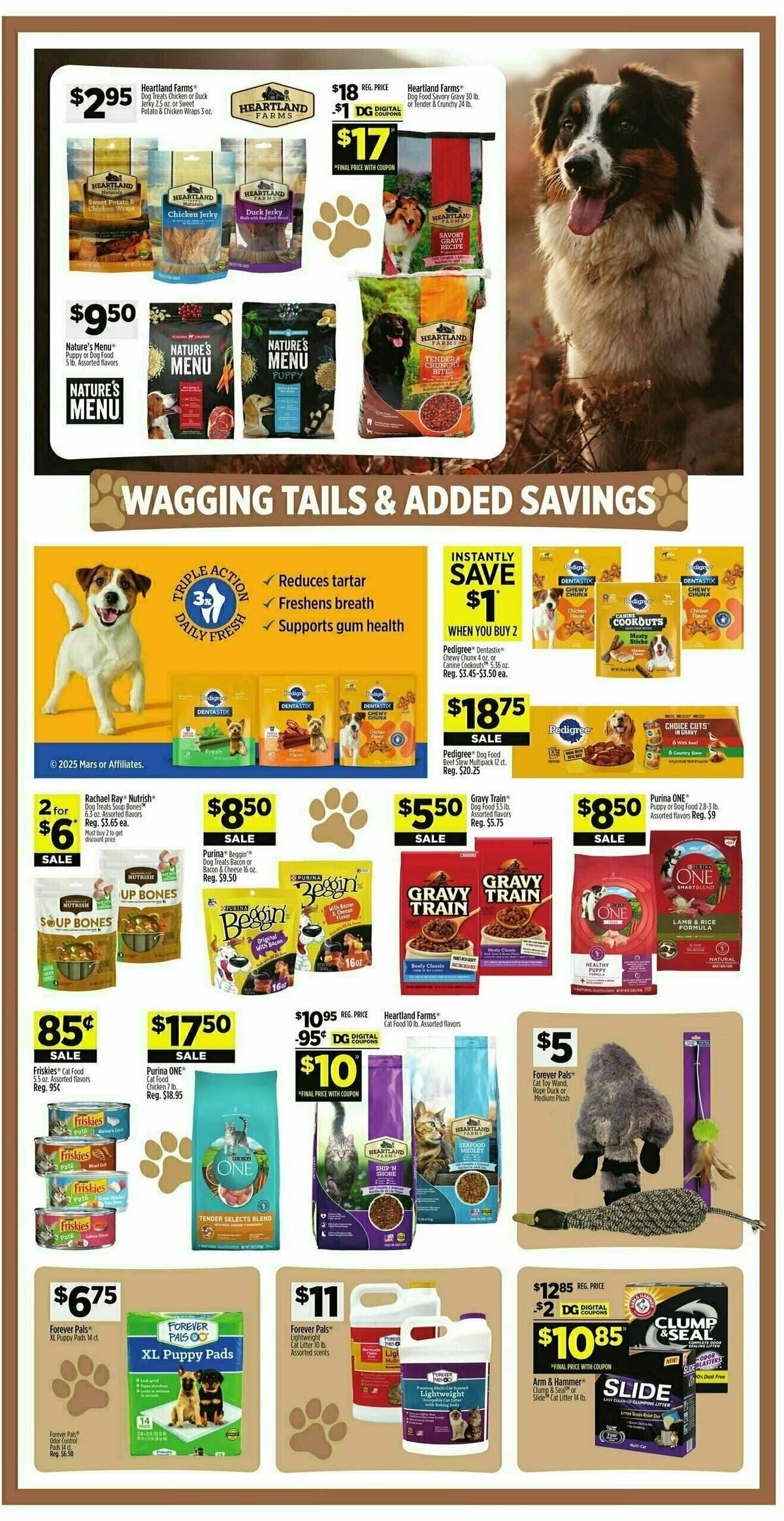 Dollar General Weekly Ad from February 9