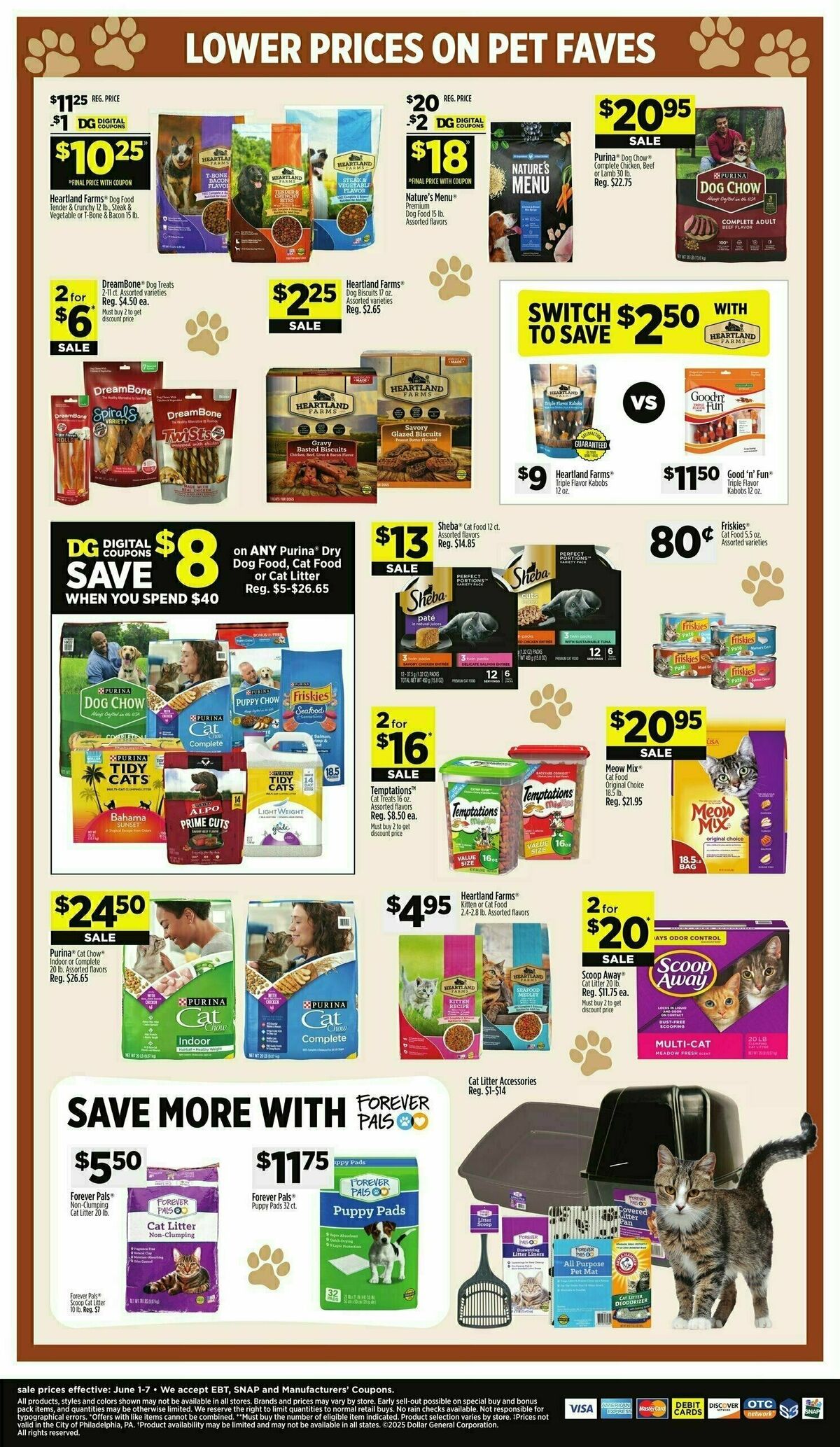 Dollar General Weekly Ad from June 1