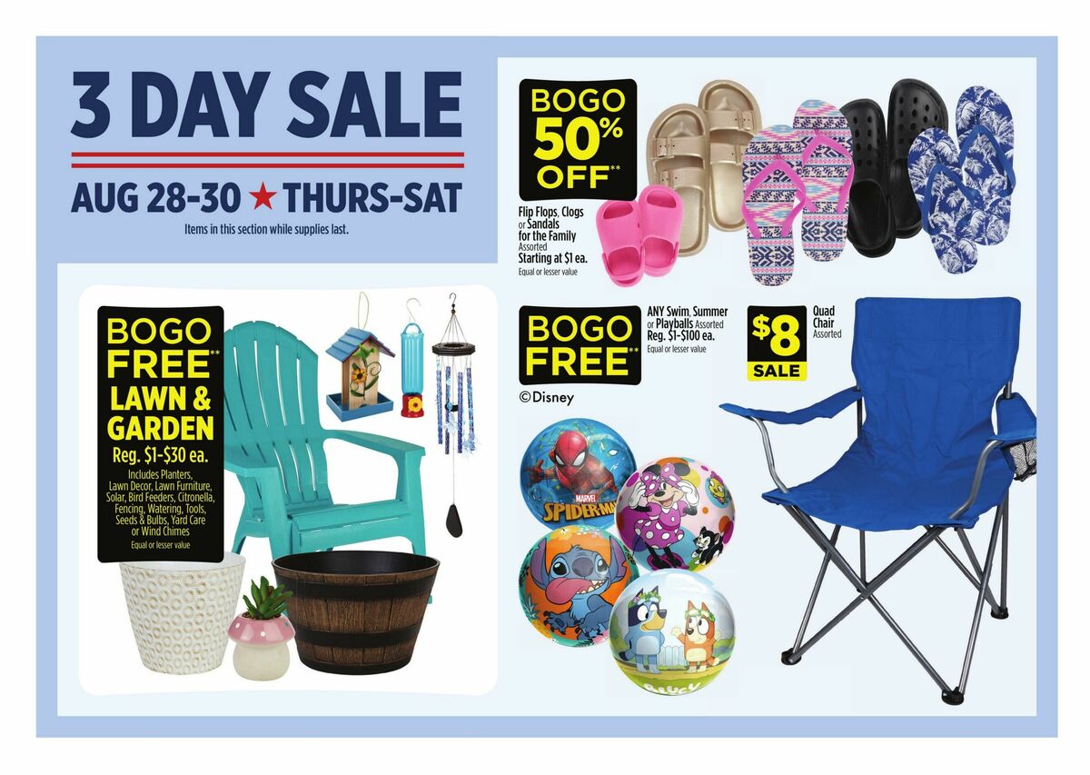 Dollar General Weekly Ad from August 24