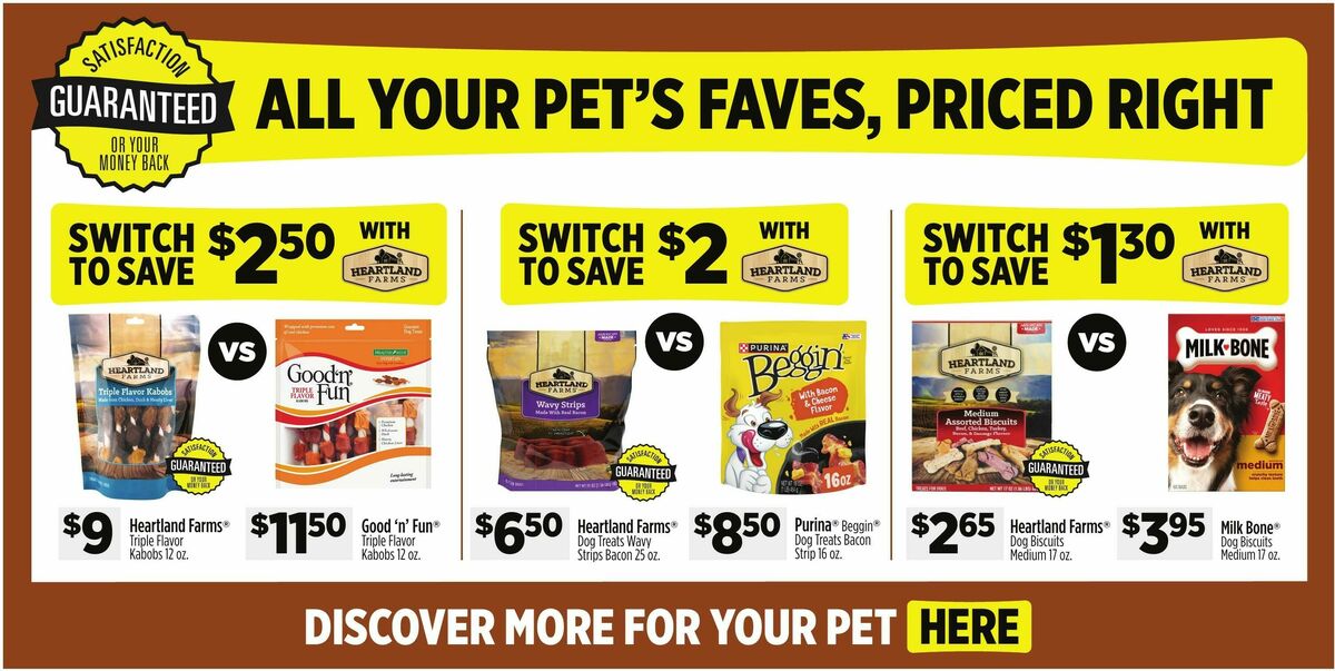 Dollar General Weekly Ad from March 1