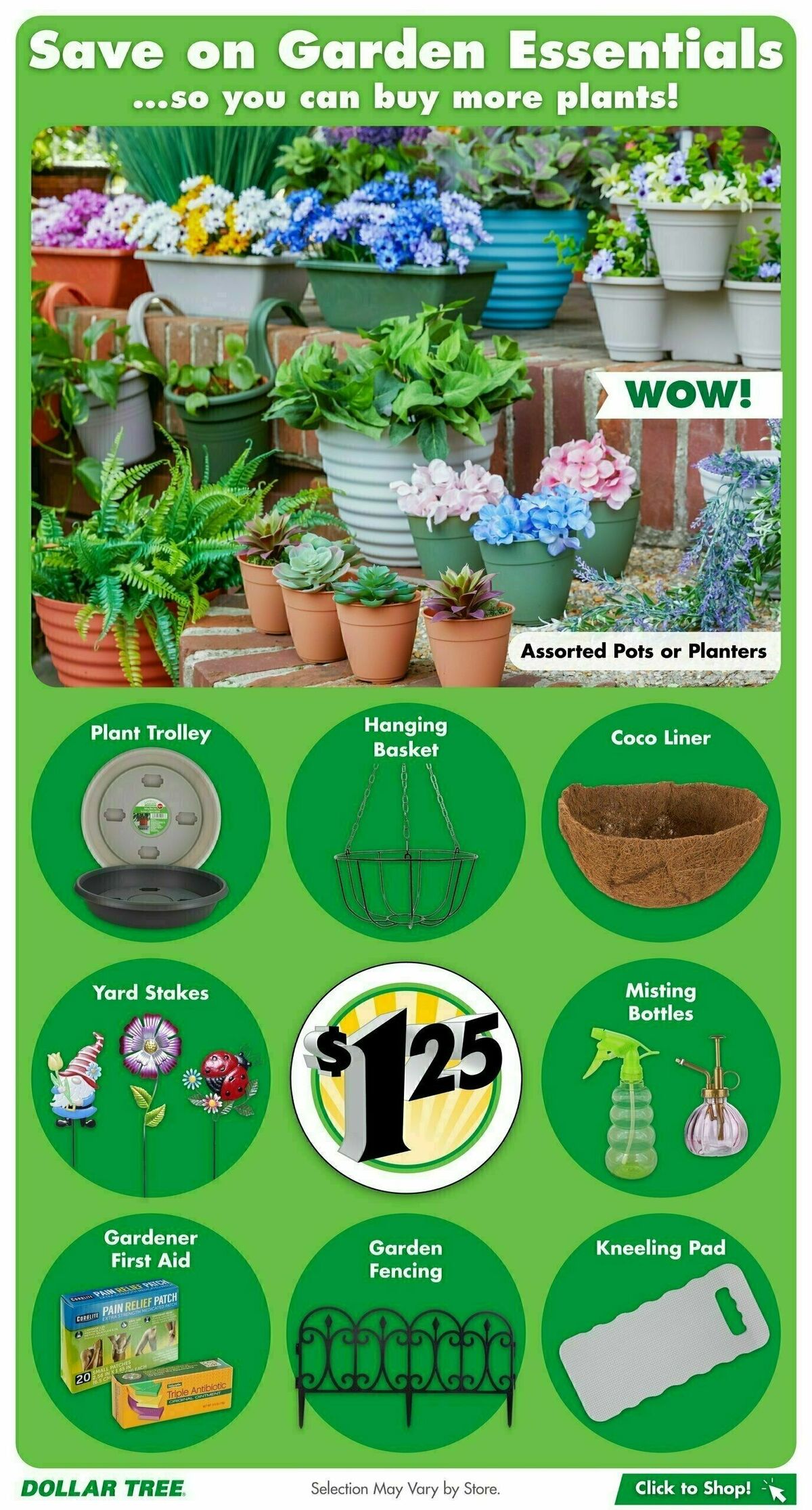 Dollar Tree Weekly Ad from January 19