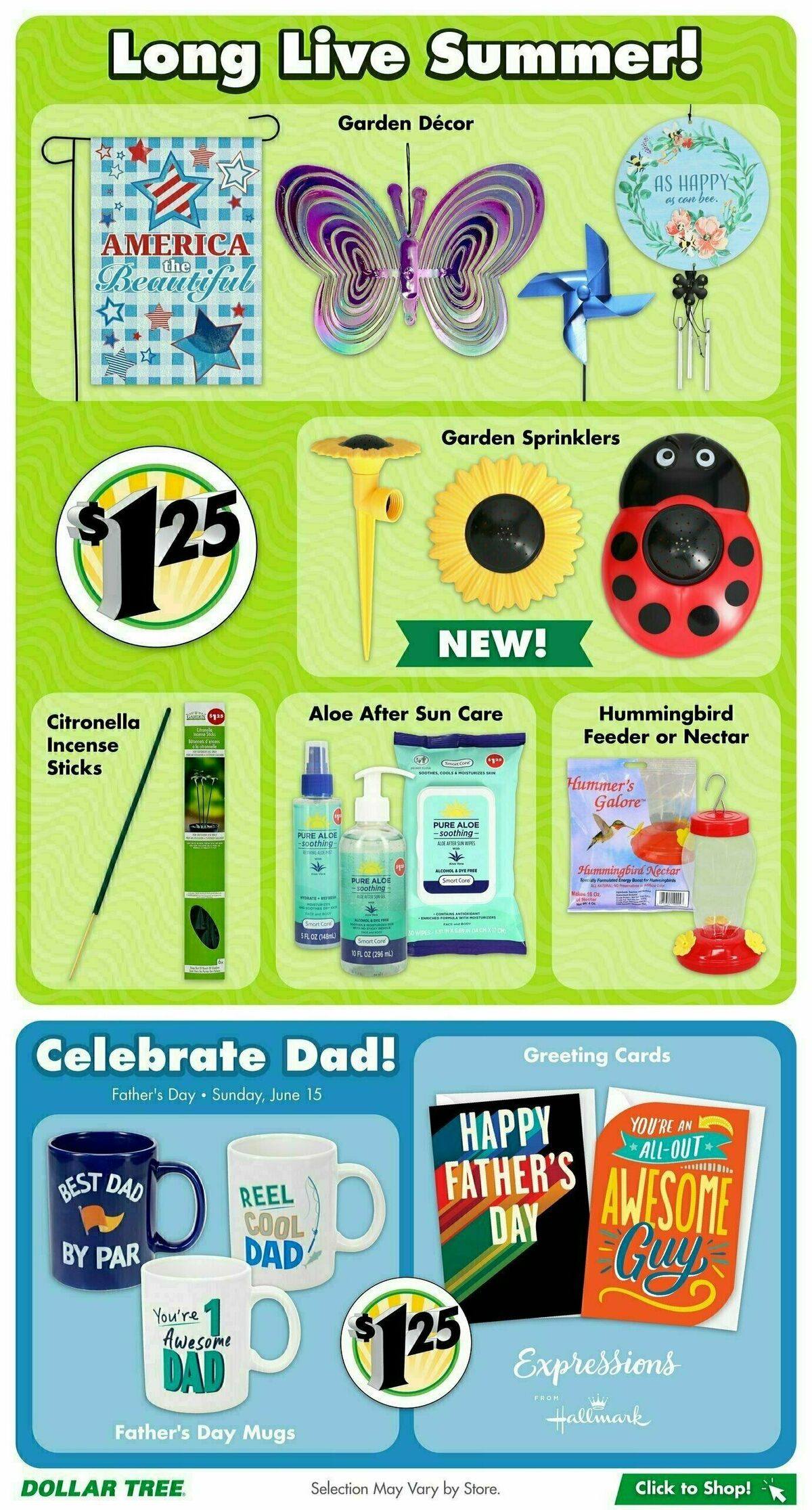 Dollar Tree Weekly Ad from May 12