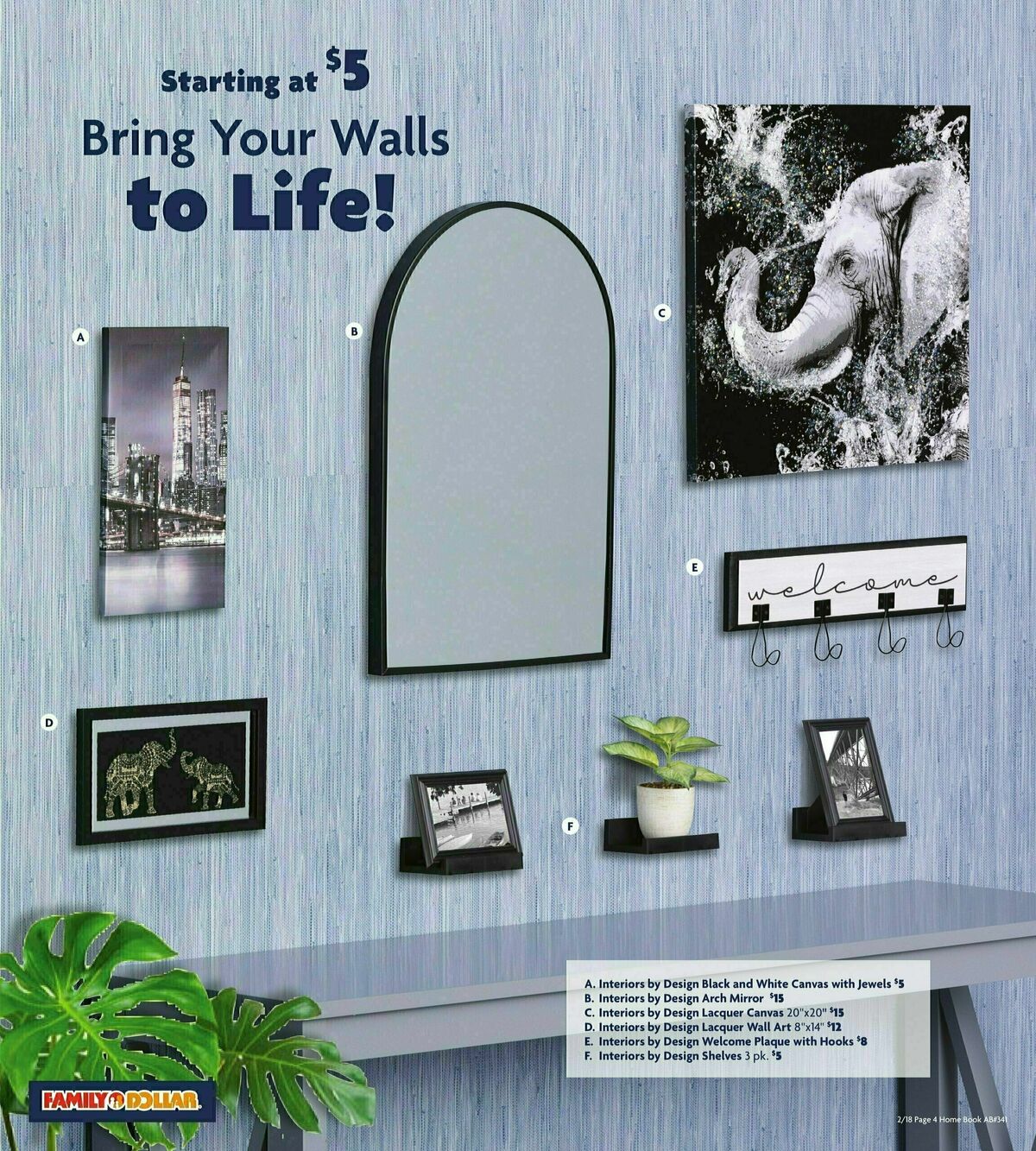 Family Dollar Home Book Weekly Ad from February 18