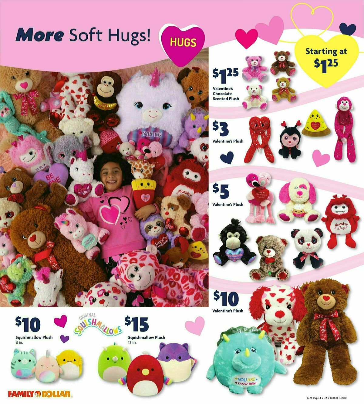 Family Dollar Valentine's Day Book Weekly Ad from January 24