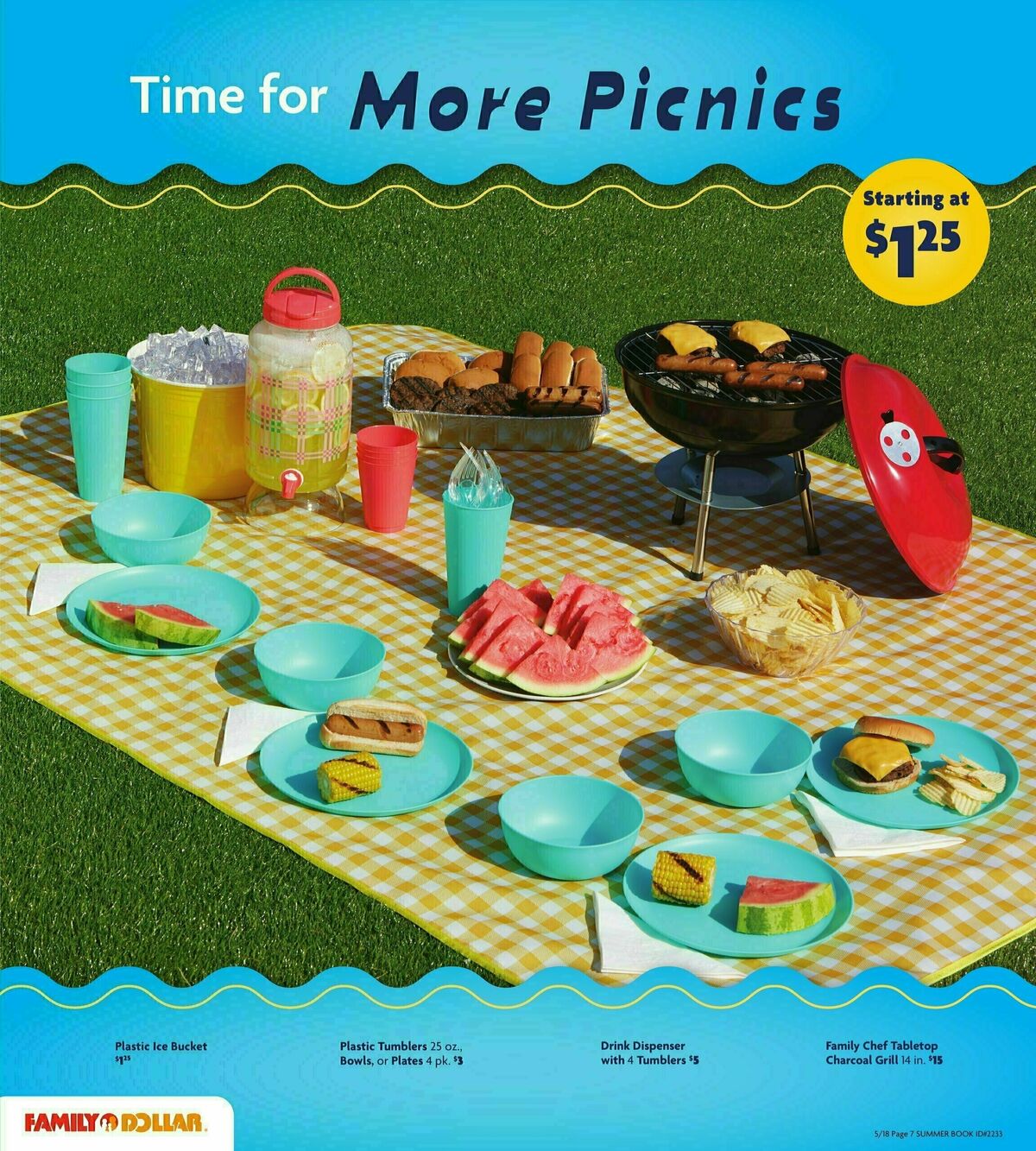 Family Dollar Summer Book Weekly Ad from May 18