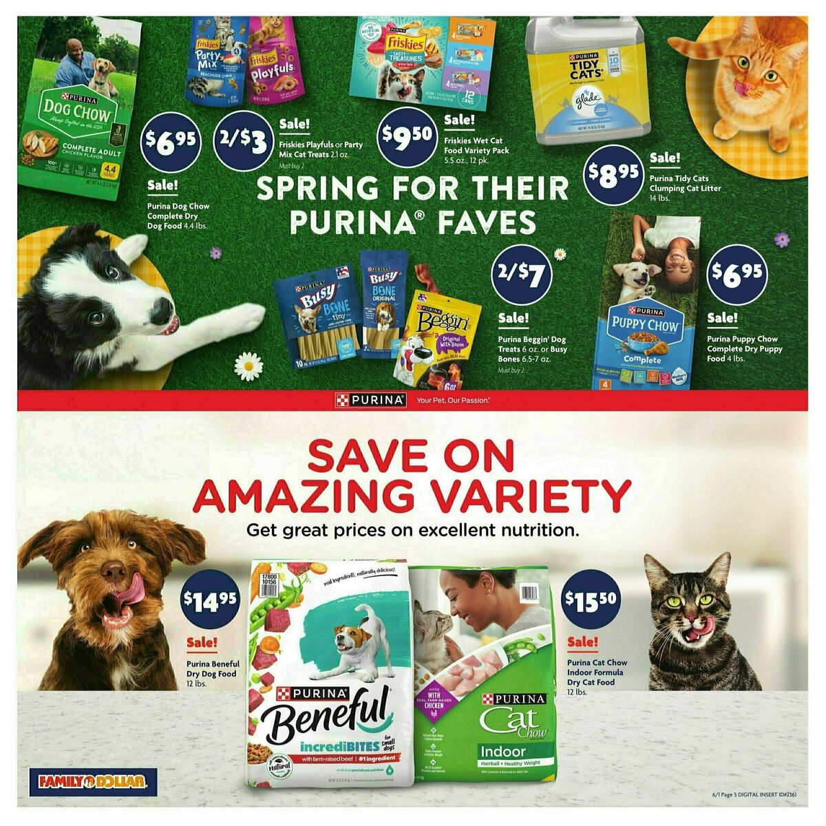 Family Dollar Weekly Ad from June 1