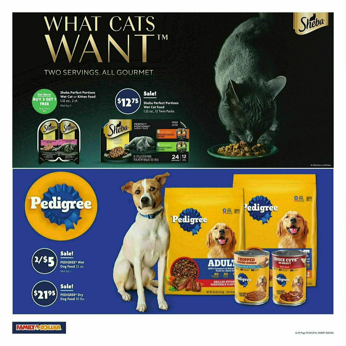 Family Dollar Weekly Ad from June 29