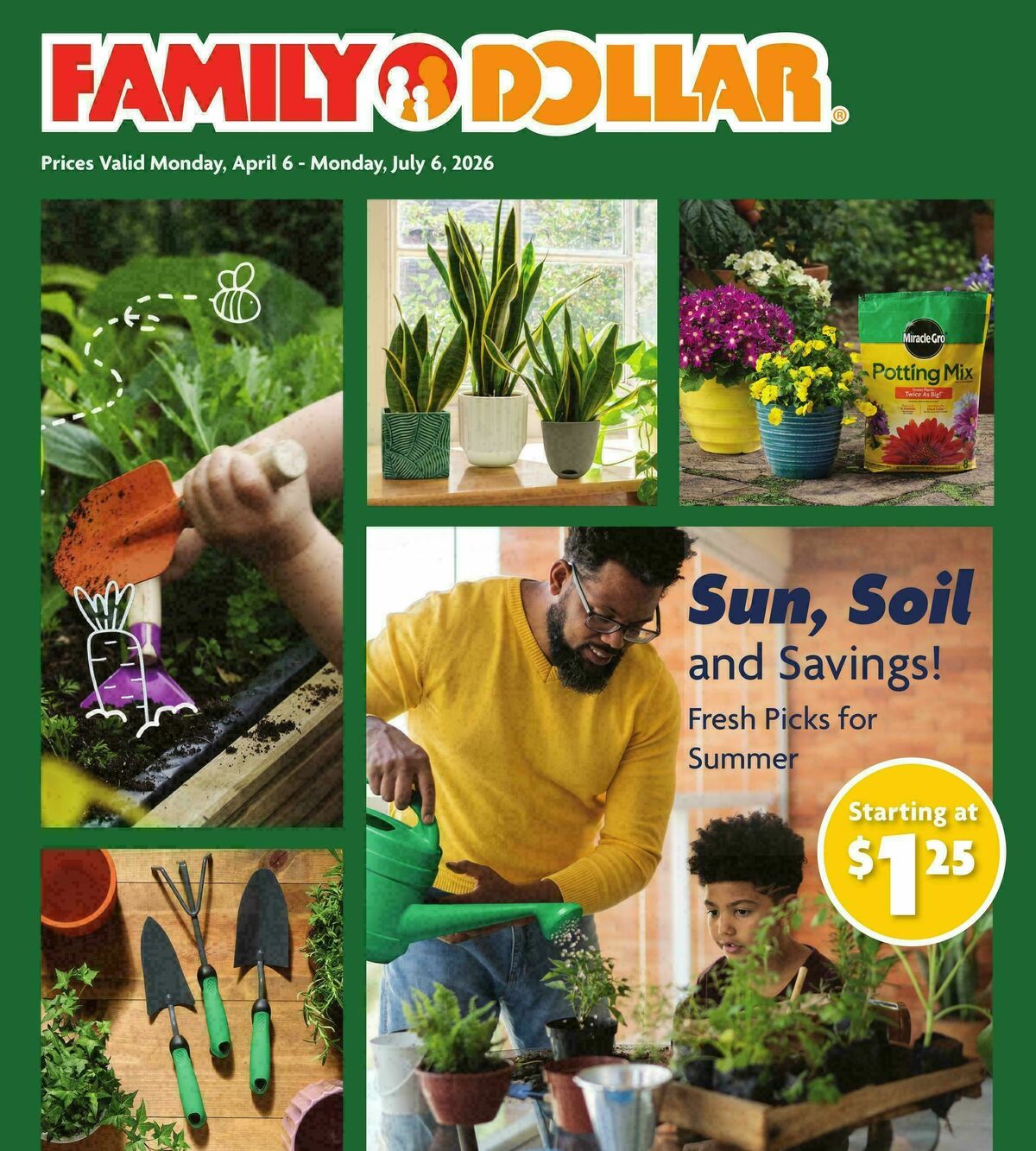 Family Dollar Spring/Summer Book Weekly Ad from April 6