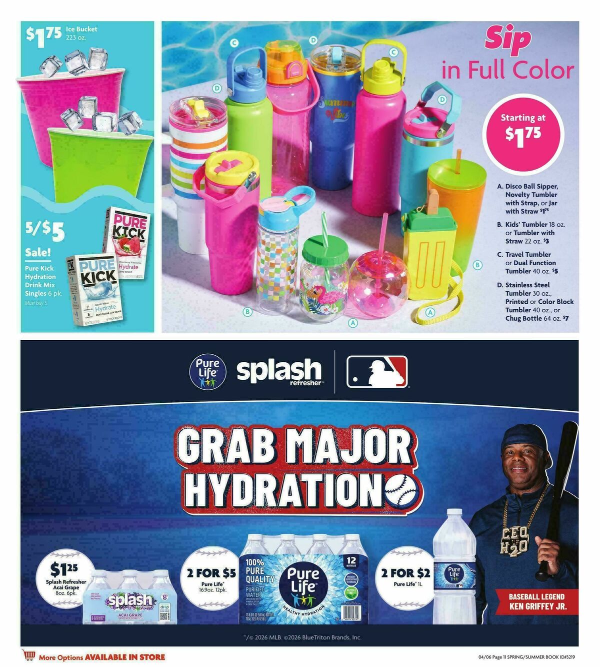 Family Dollar Spring/Summer Book Weekly Ad from April 6