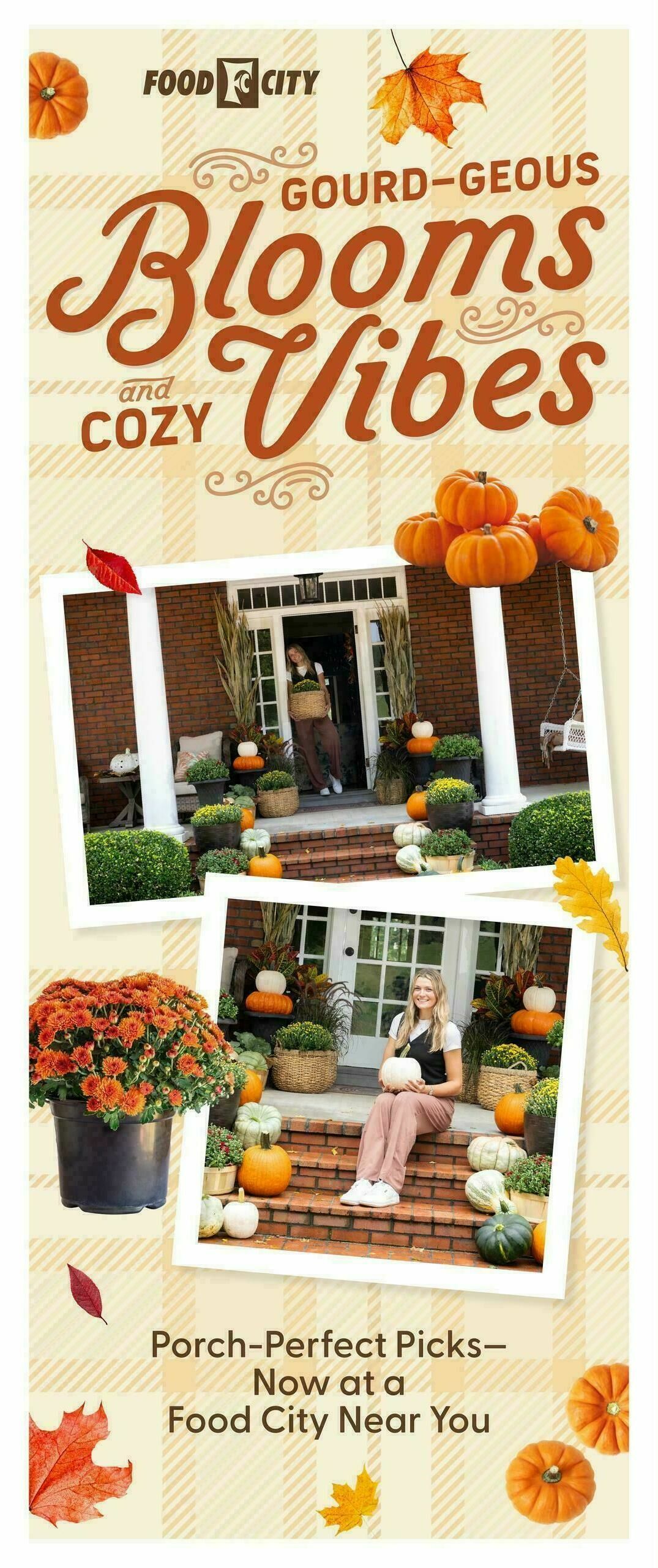 Food City Weekly Ad from October 22